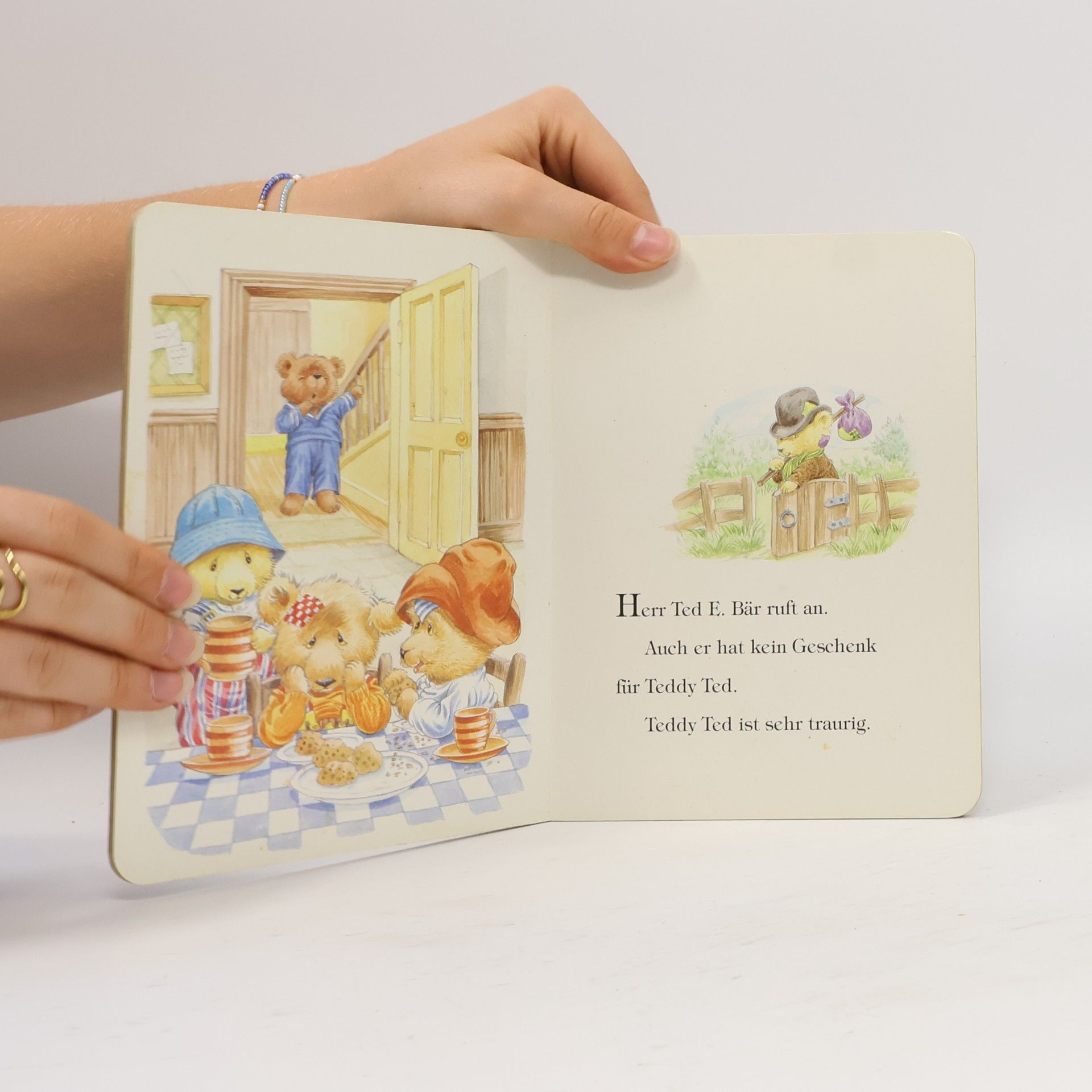 Autores varios Die Teddybären und die Geburtstagsüberraschung