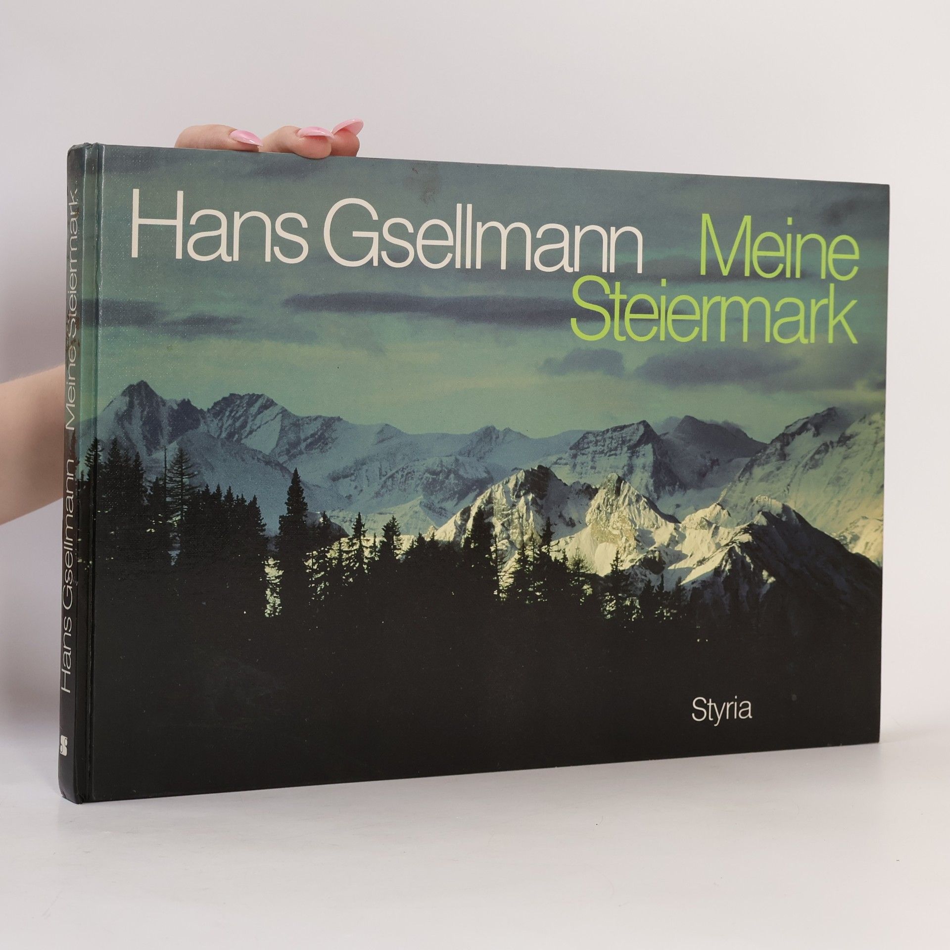 Hans Gsellmann Meine Steiermark