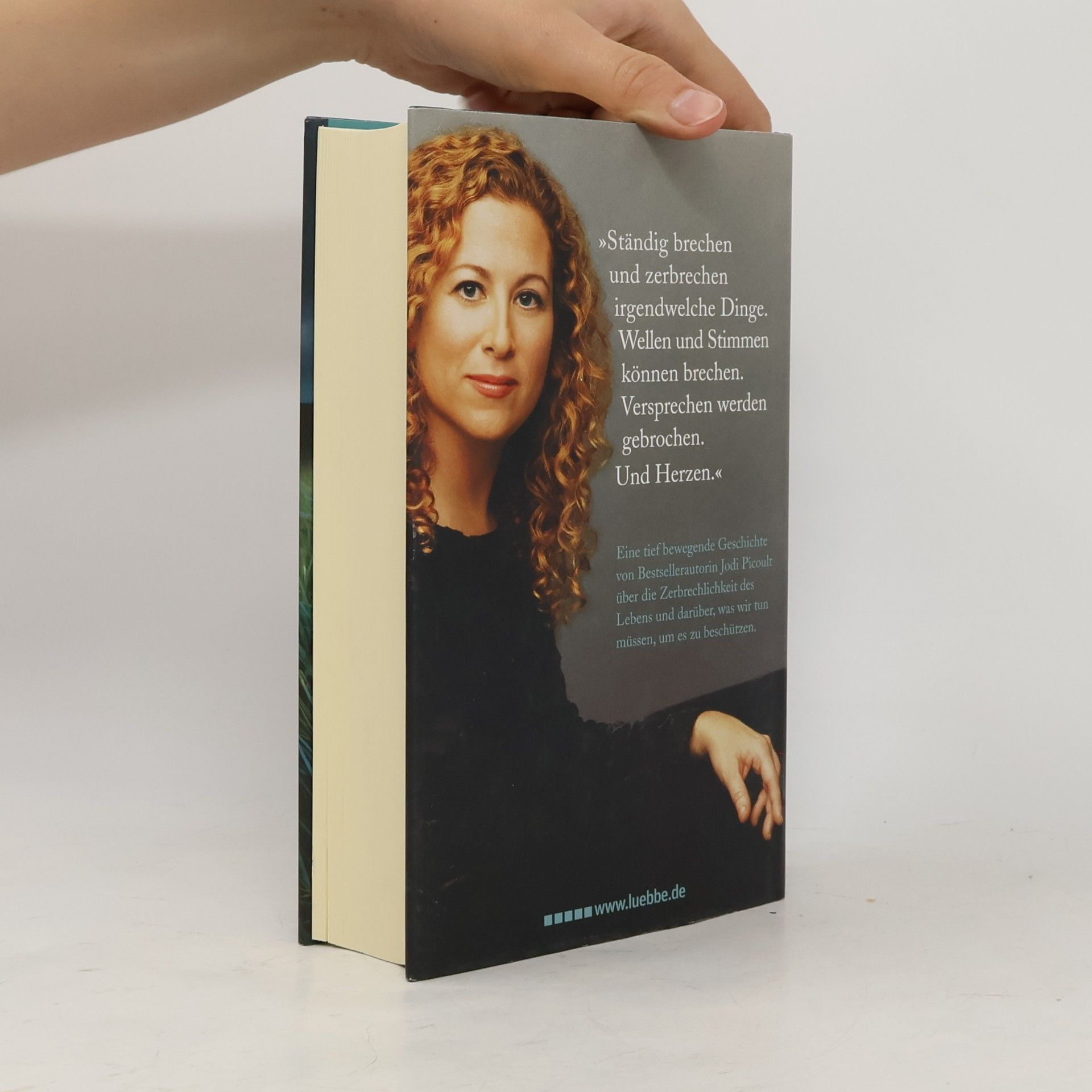 Jodi Picoult Zerbrechlich