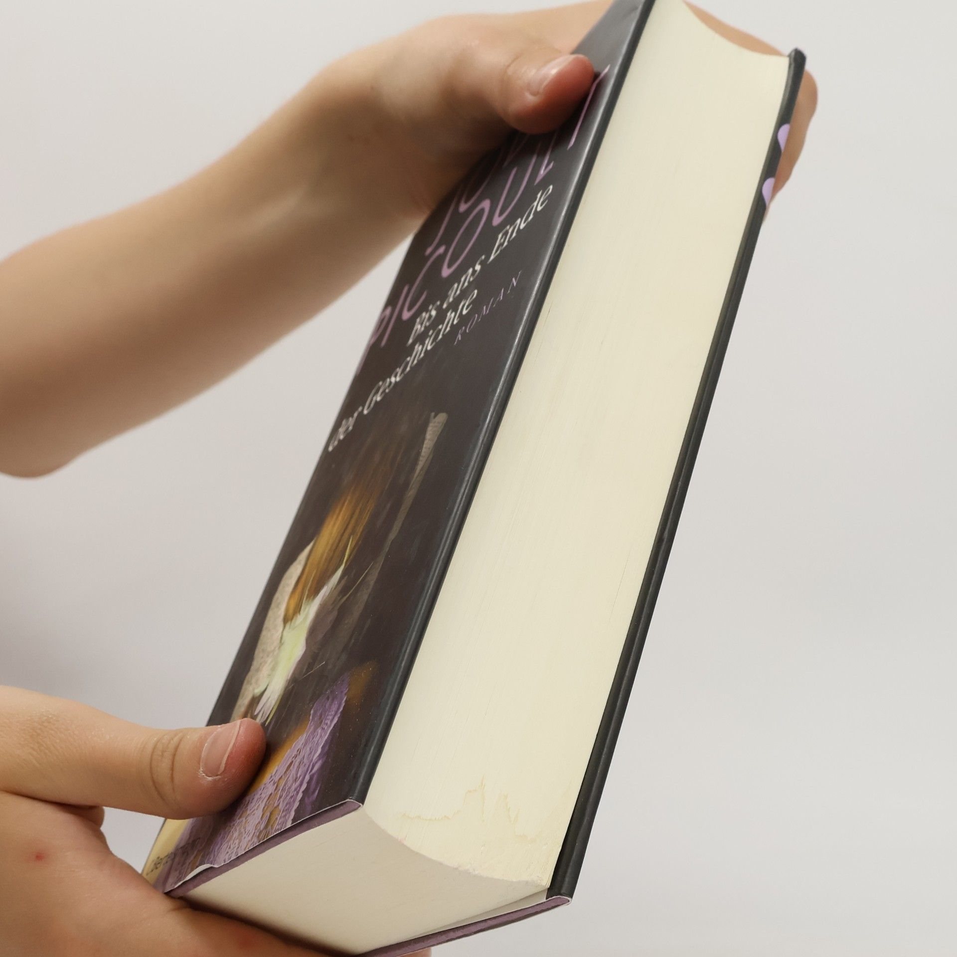 Jodi Picoult Bis ans Ende der Geschichte