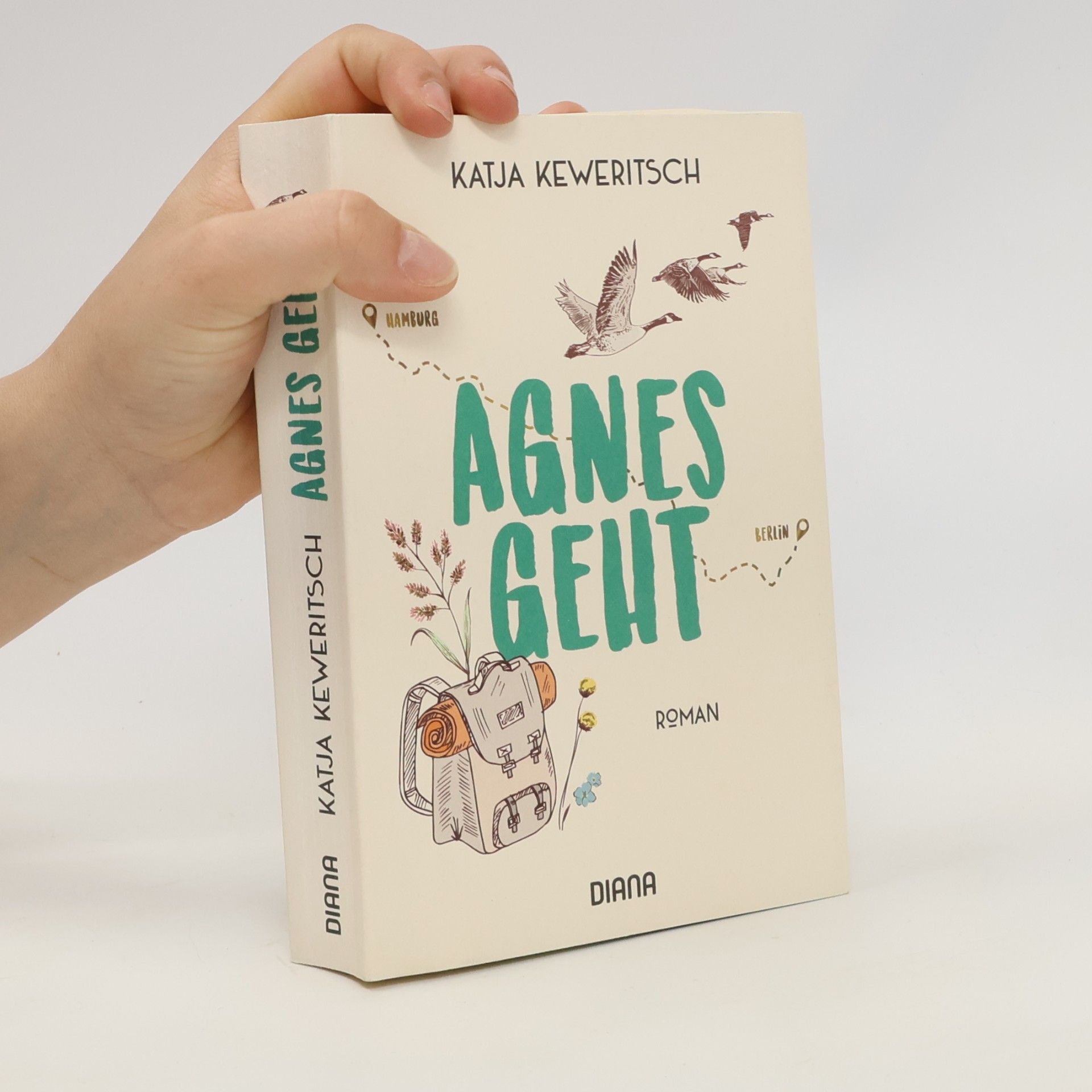 Katja Keweritsch Agnes geht