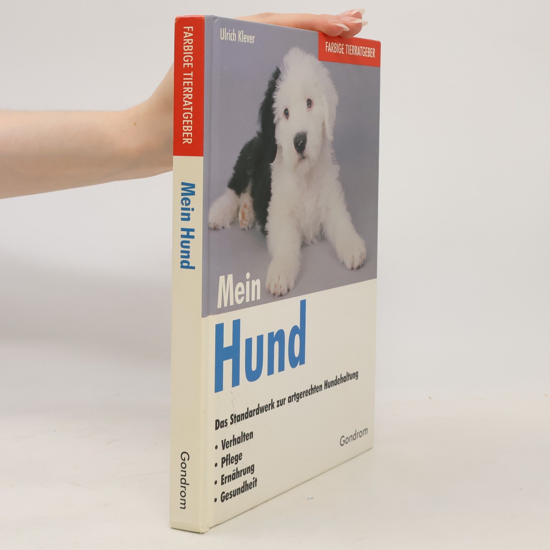 Ulrich Klever Mein Hund