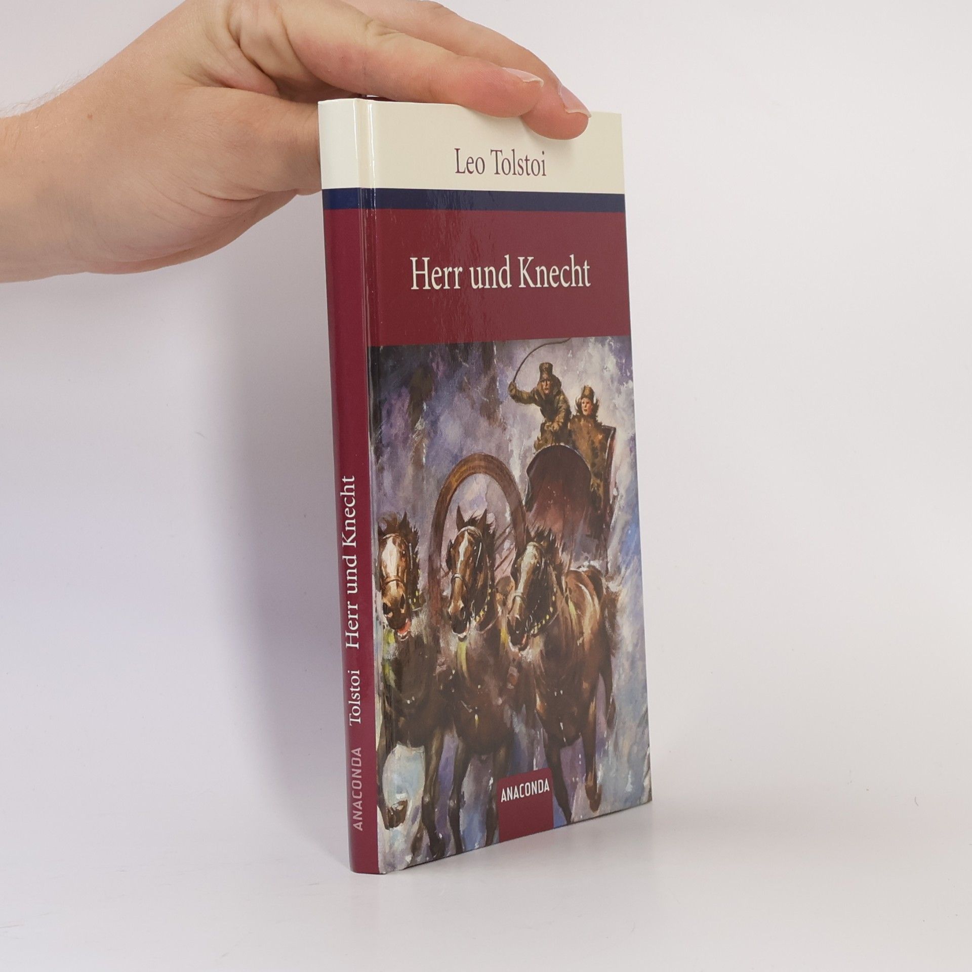 Lev Nikolajevič Tolstoj Herr und Knecht