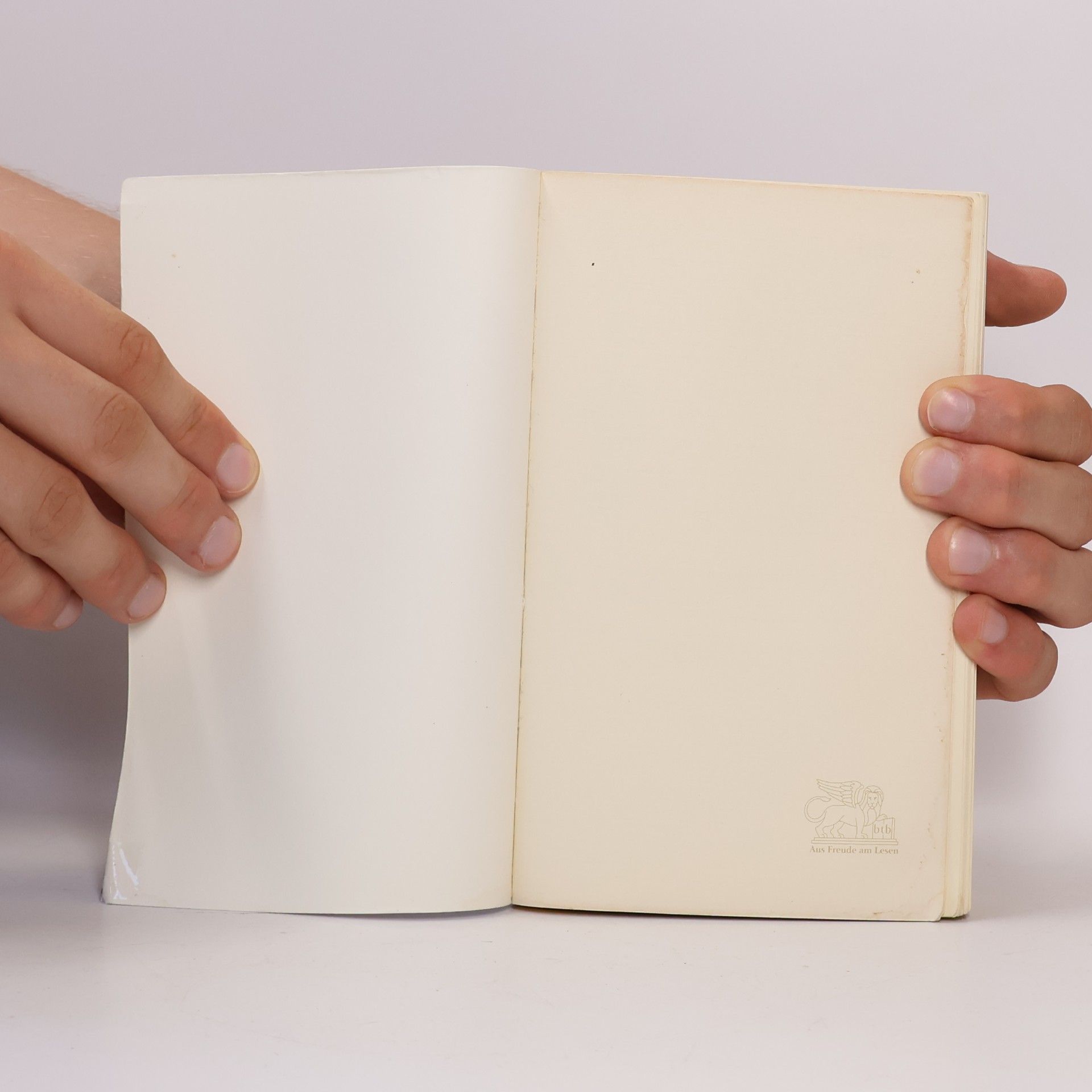 Irvin Yalom Die rote Couch