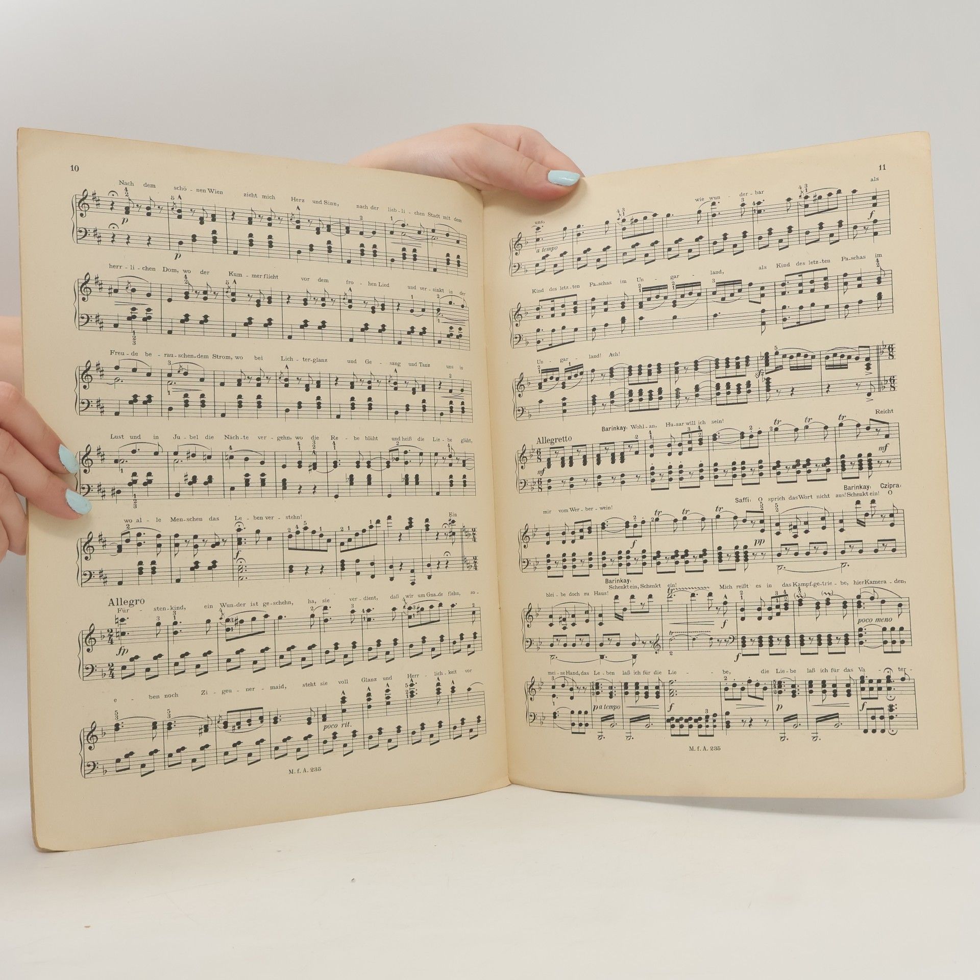 Johann Strauss Der Zigeunerbaron II