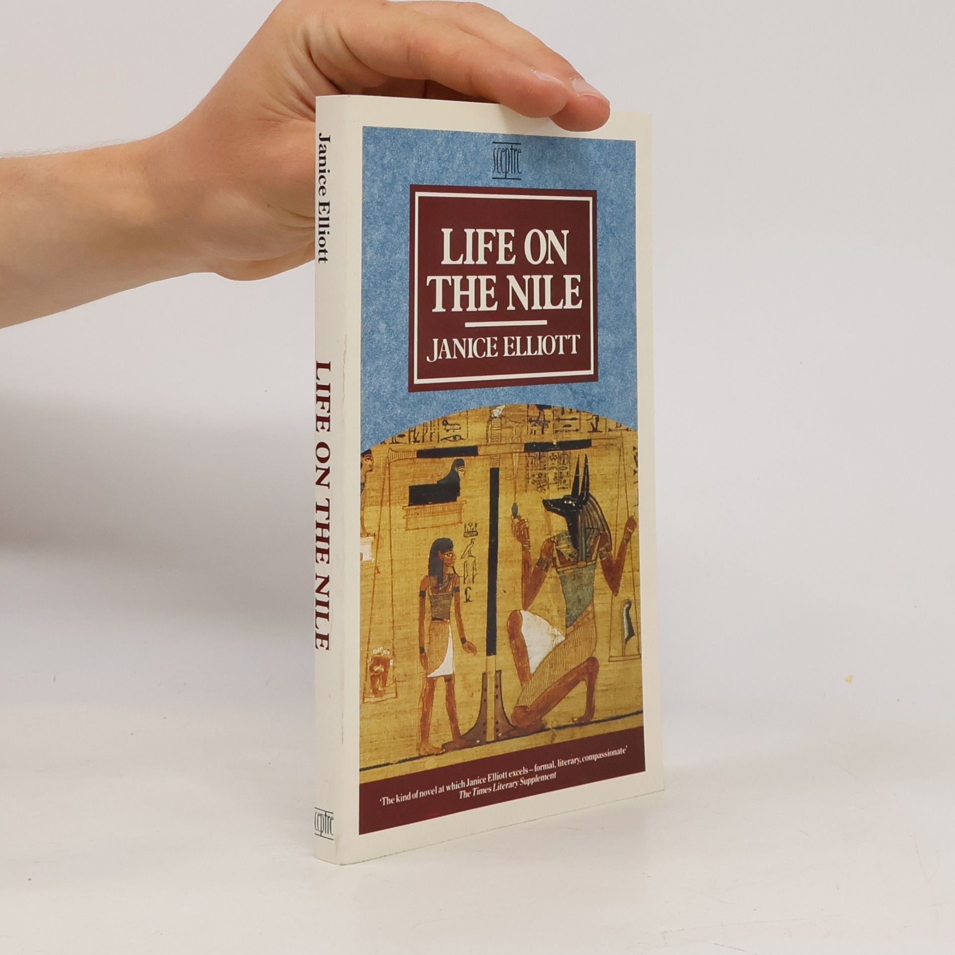Janice Elliott Life on the Nile