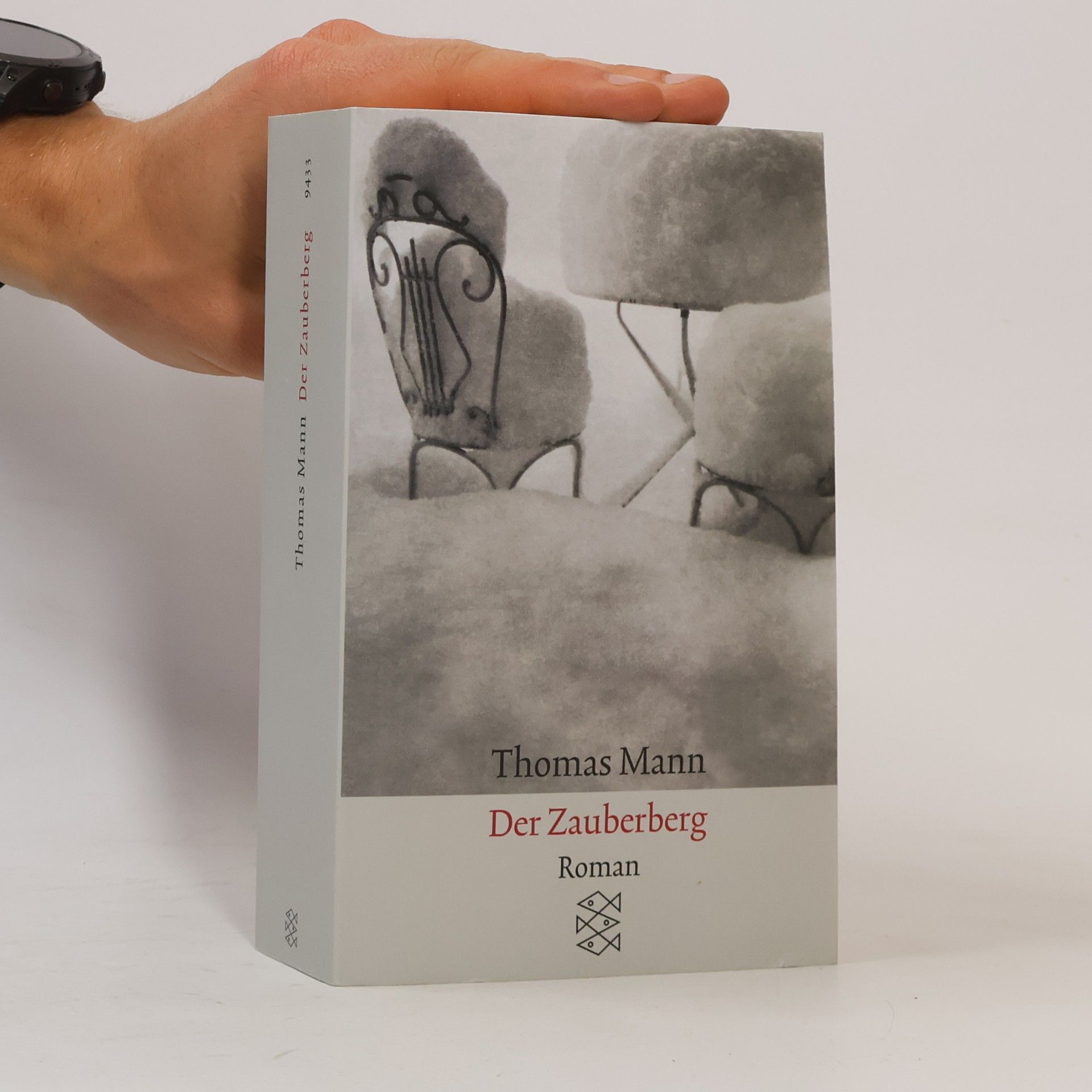 Thomas Mann Der Zauberberg