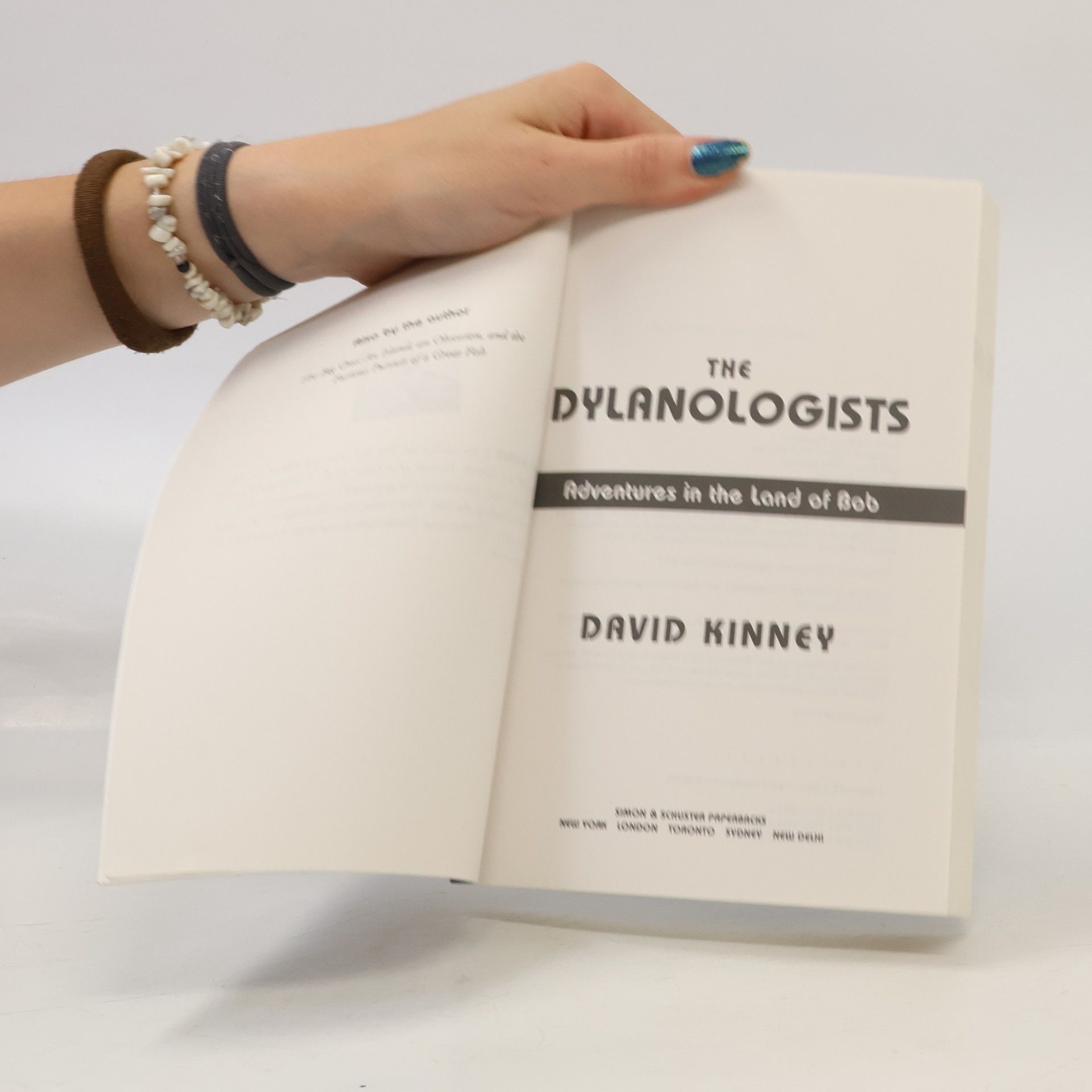David Francis Kinney The Dylanologists