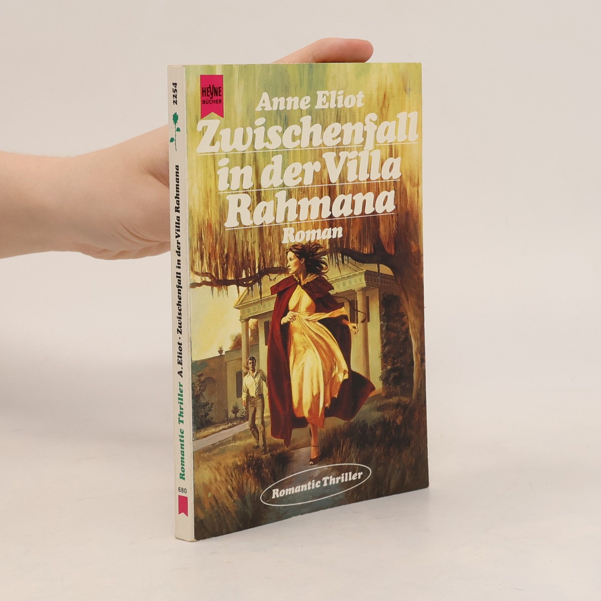 Romantic Thriller: Zwischenfall in der Villa Rahmana