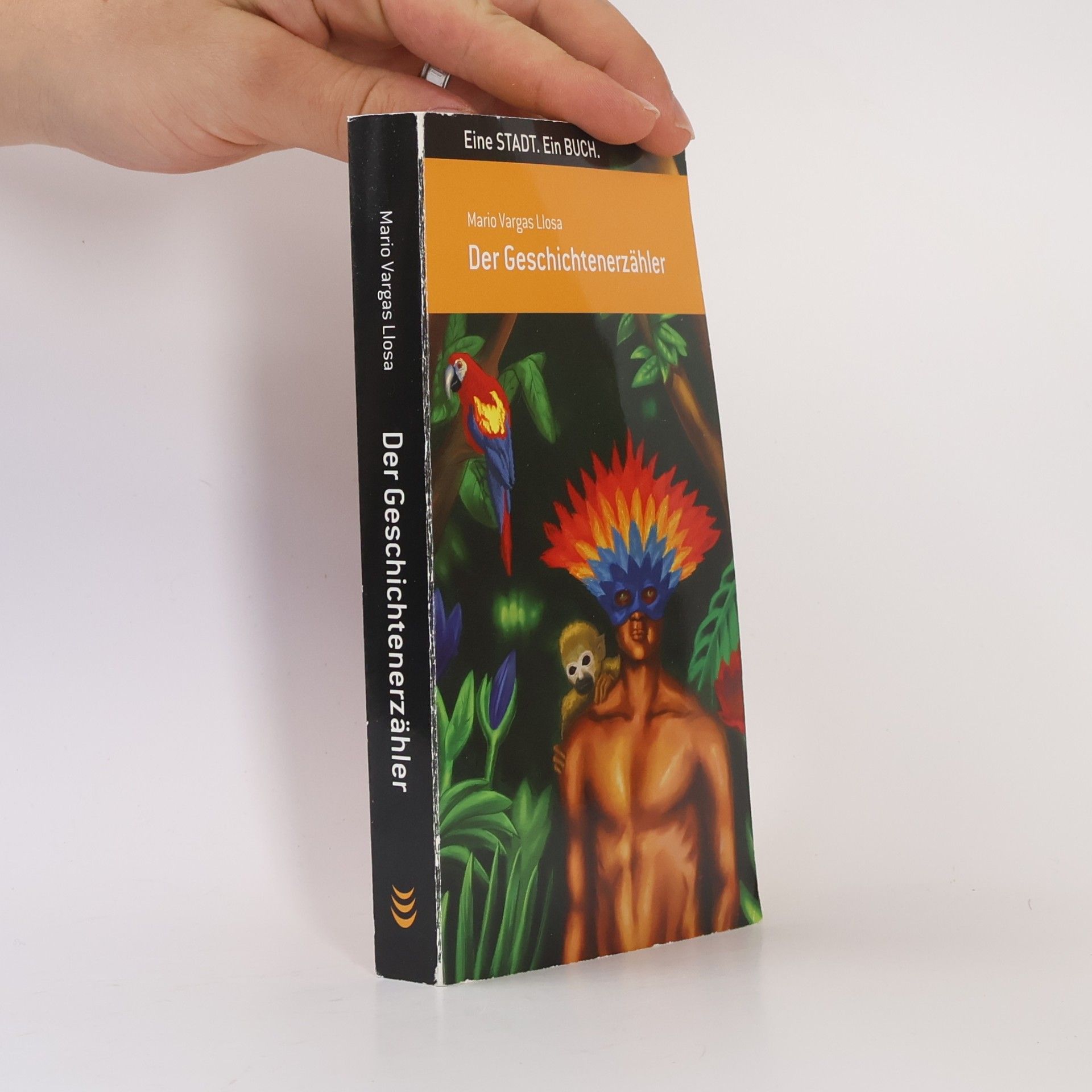 Mario Vargas Llosa Der Geschichtenerzähler