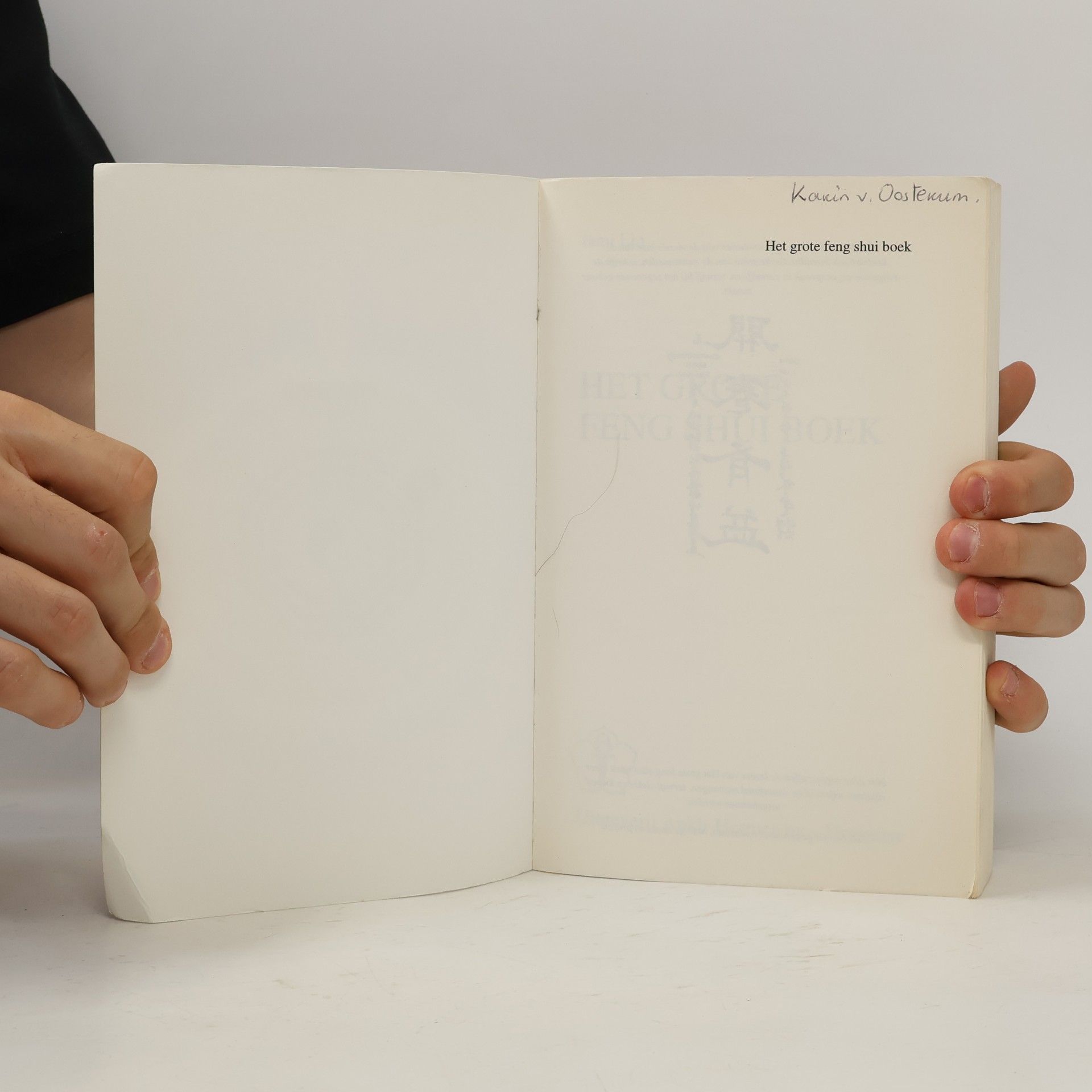 Jami Lin Het grote Feng Shui boek