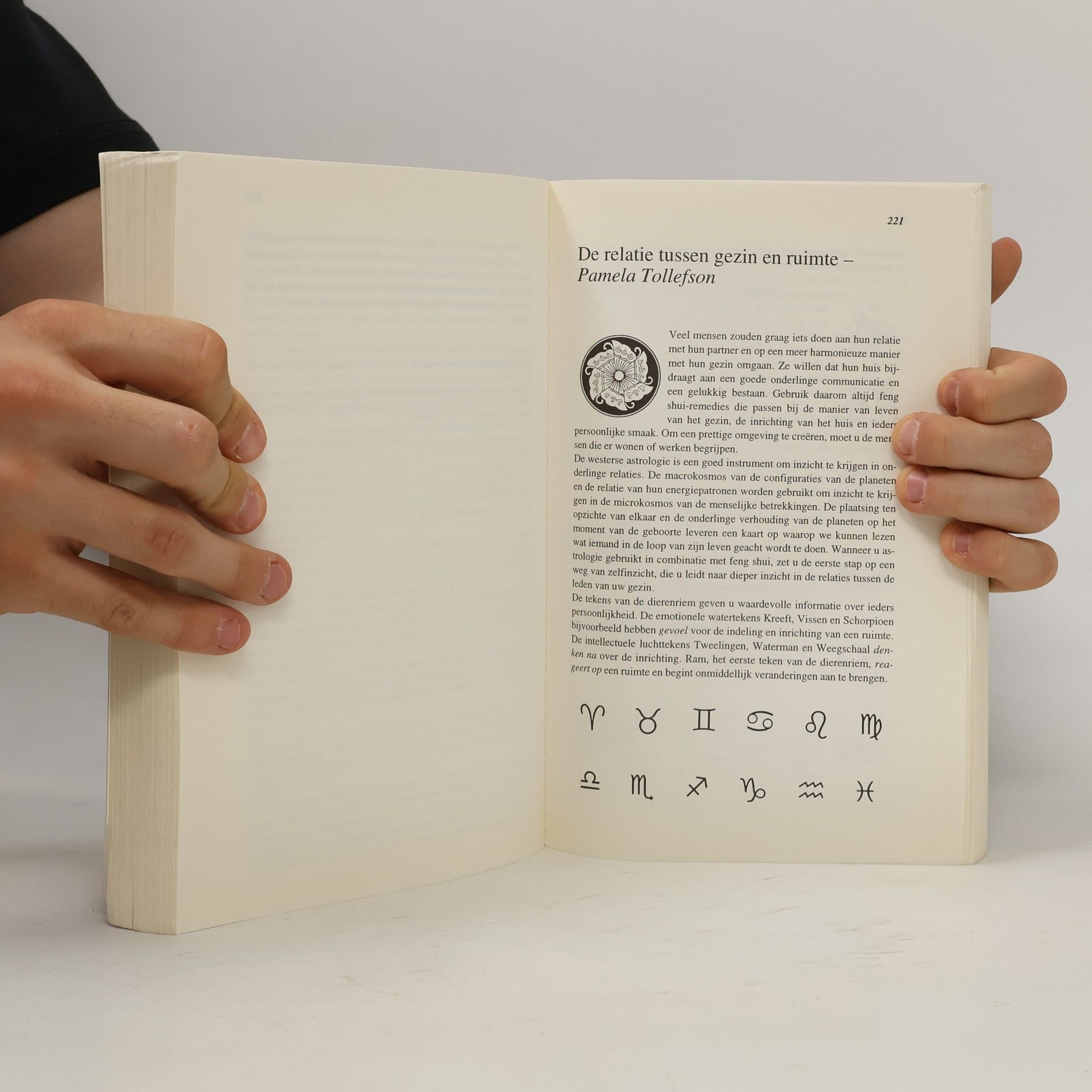 Jami Lin Het grote Feng Shui boek