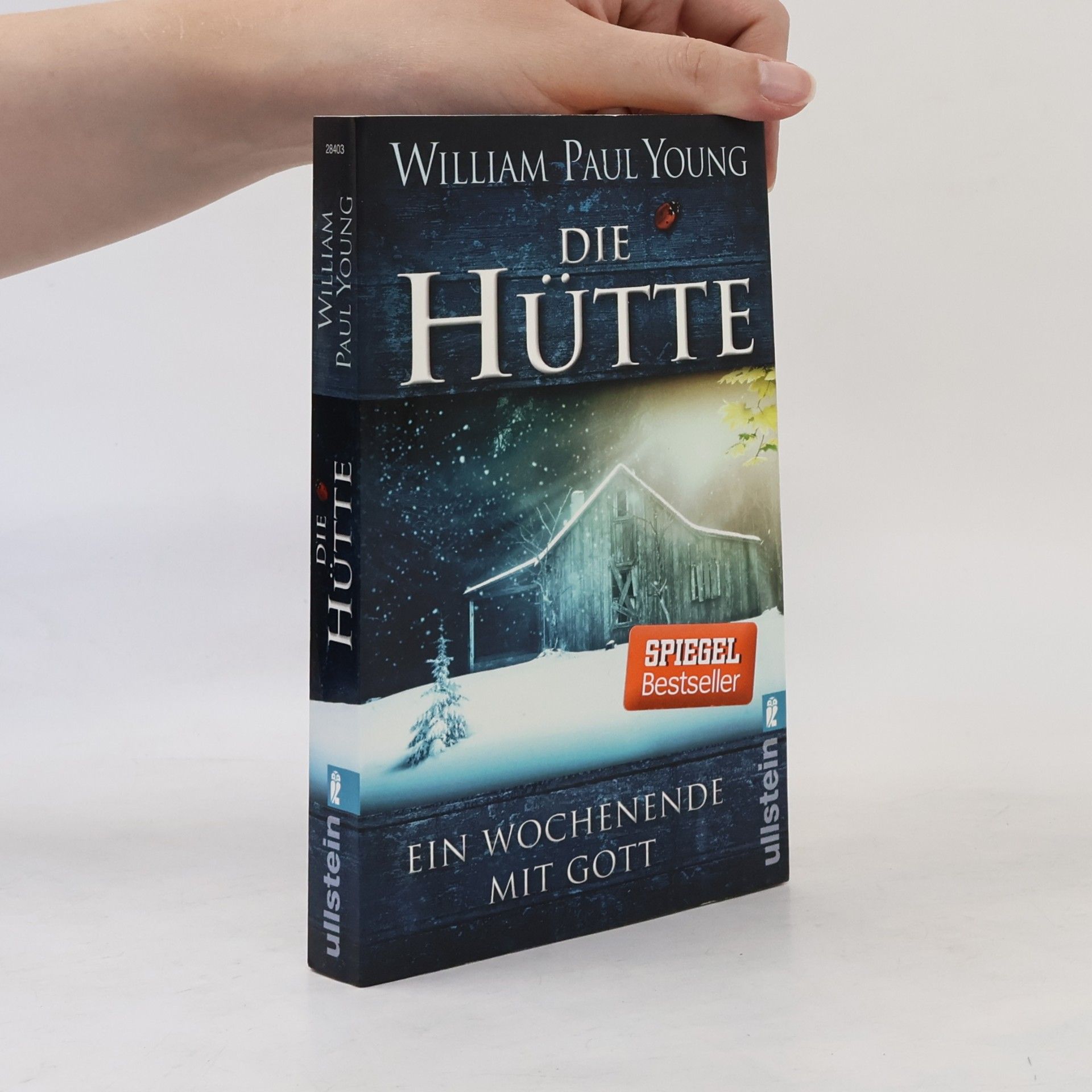 William P. Young Die Hütte
