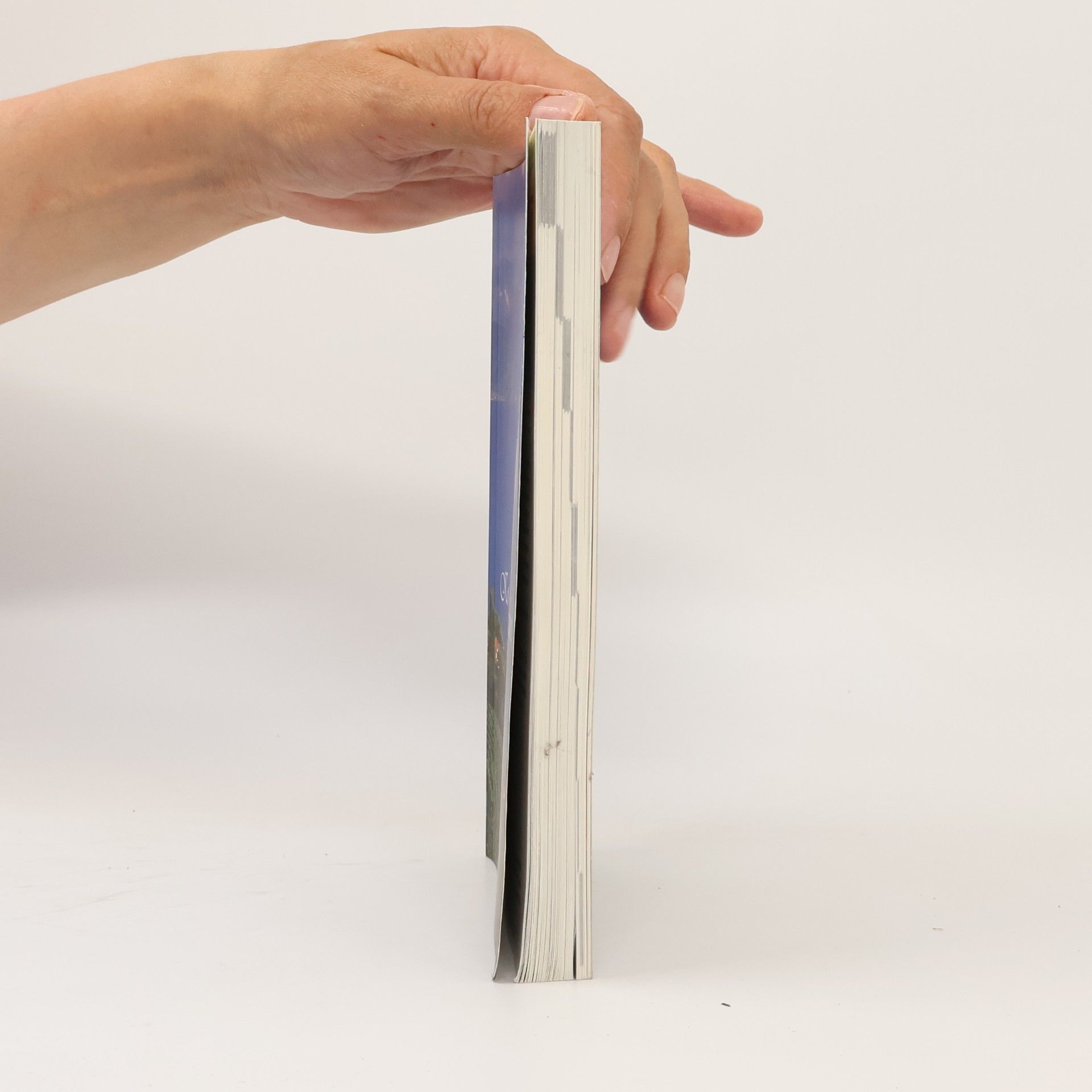 Autorenkollektiv Kollegbuch des Weines 2008/2009