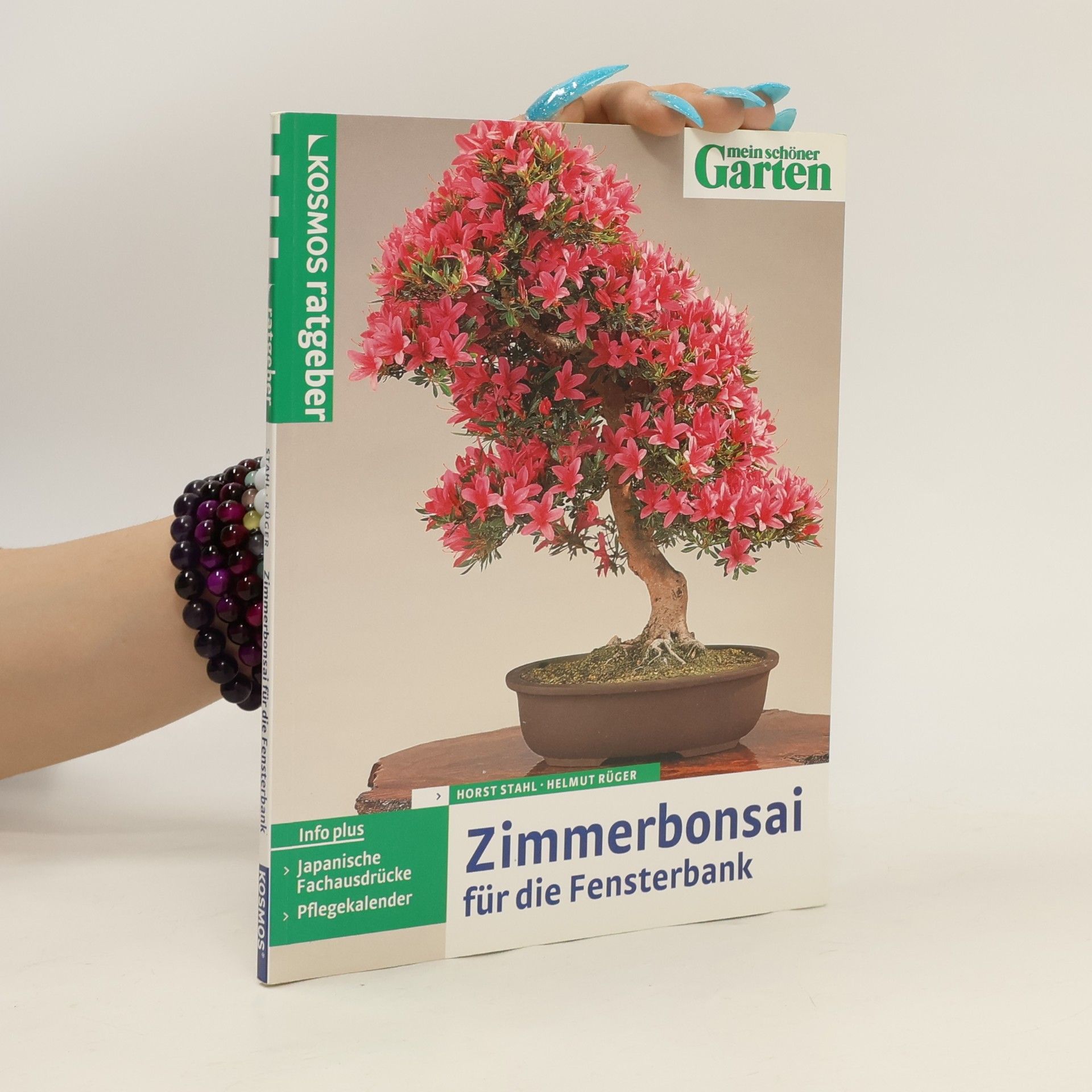 Horst Stahl Zimmer-Bonsai für die Fensterbank