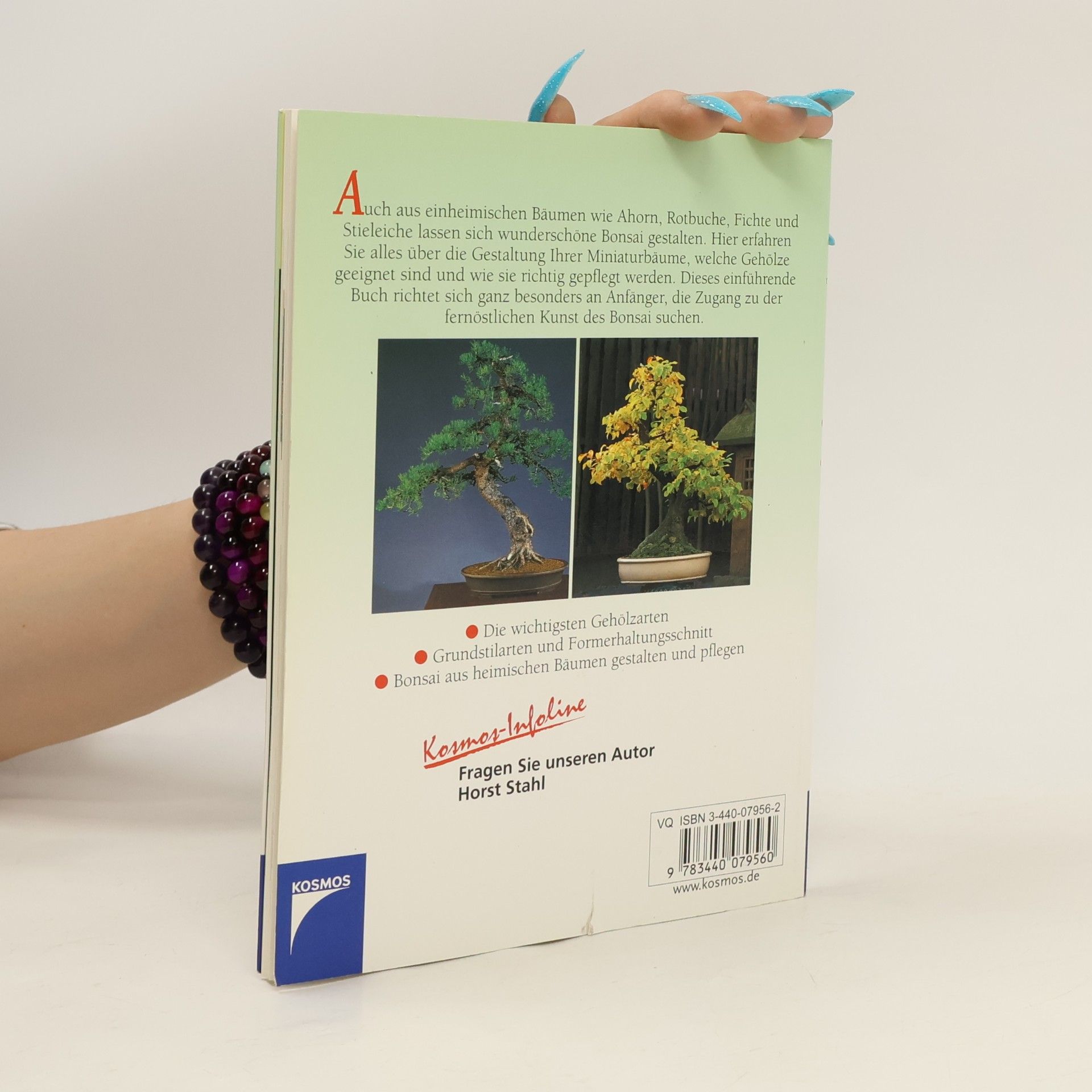 Horst Stahl Bonsai selbst gezogen aus heimischen Bäumen