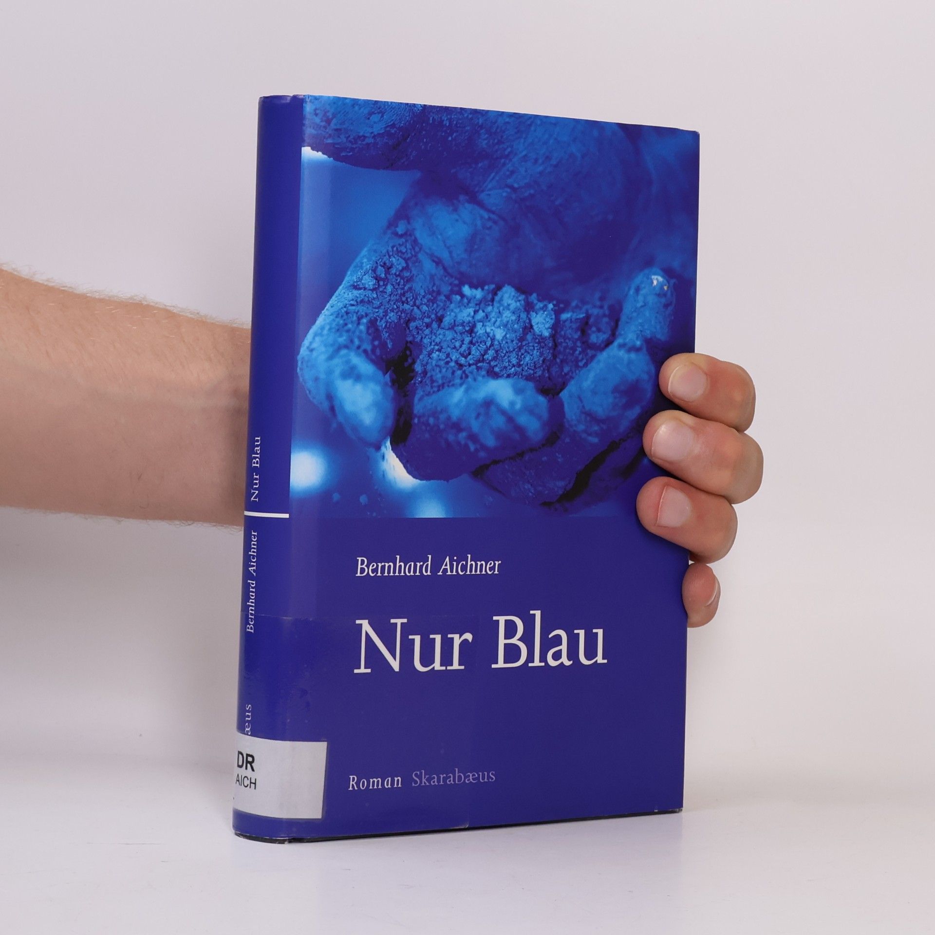 Bernhard Aichner Nur Blau