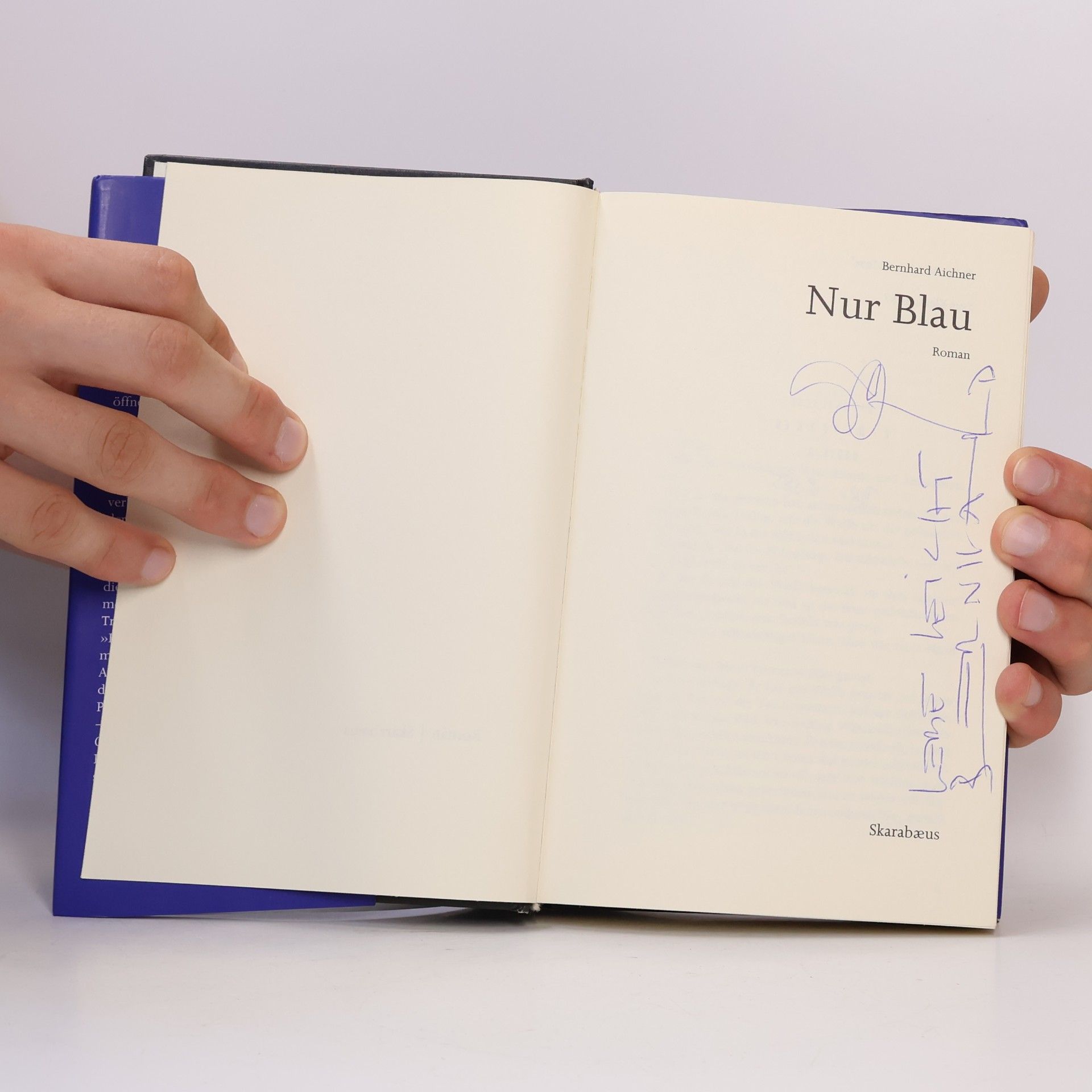 Bernhard Aichner Nur Blau