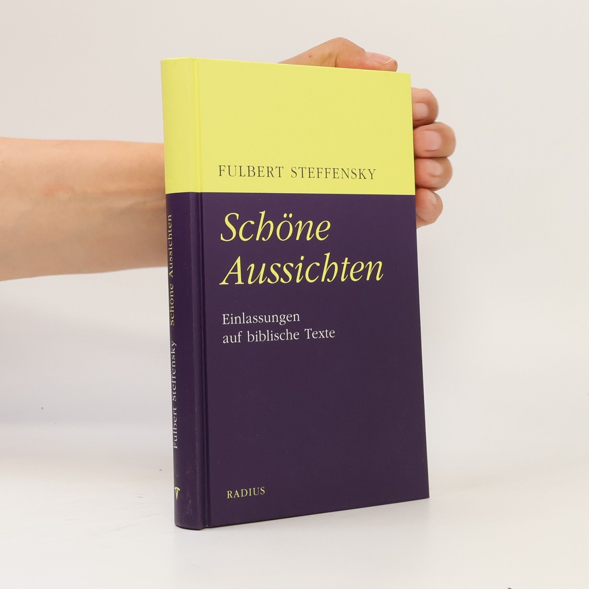 Fulbert Steffensky Schöne Aussichten