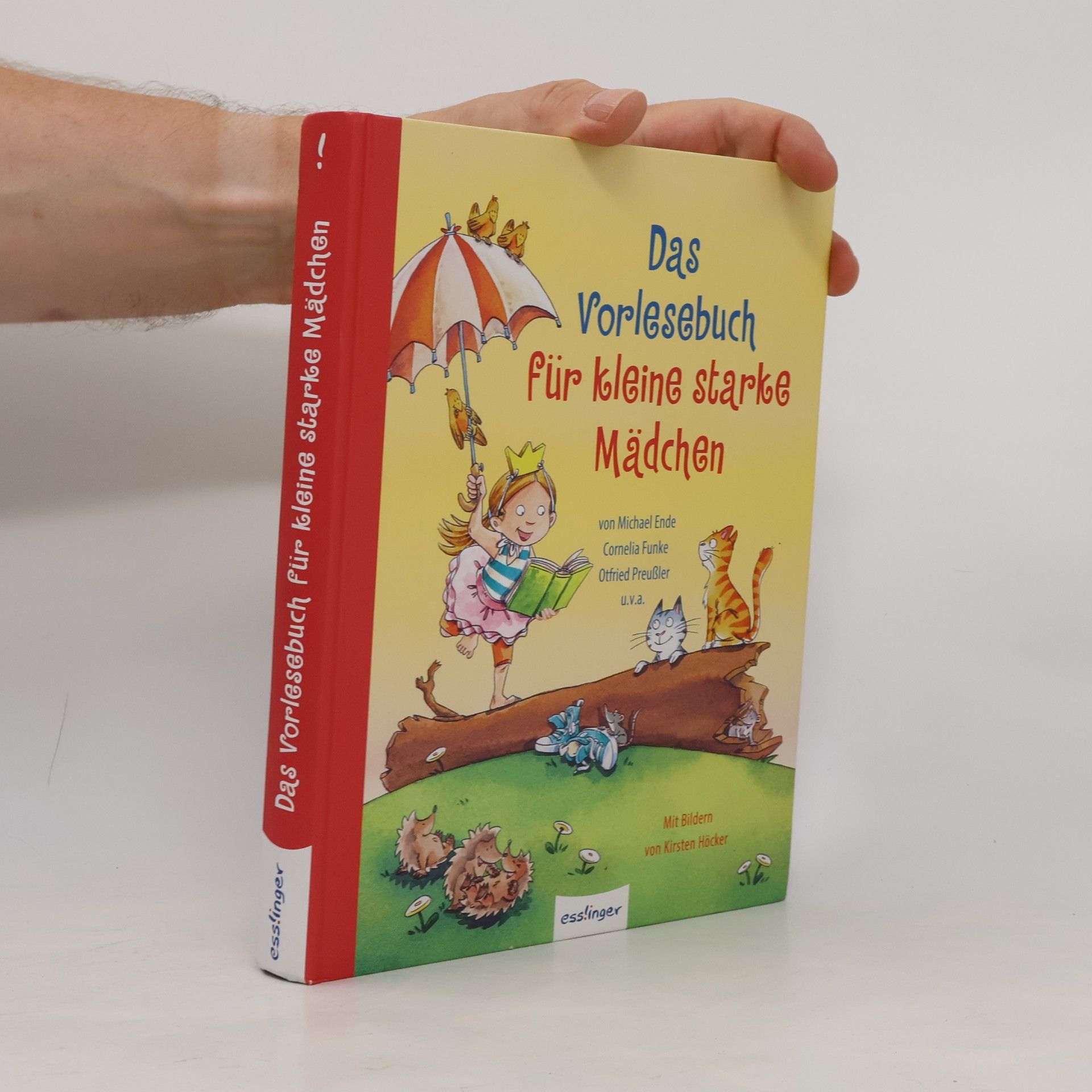 Kolektiv autorů Das Vorlesebuch für kleine starke Mädchen