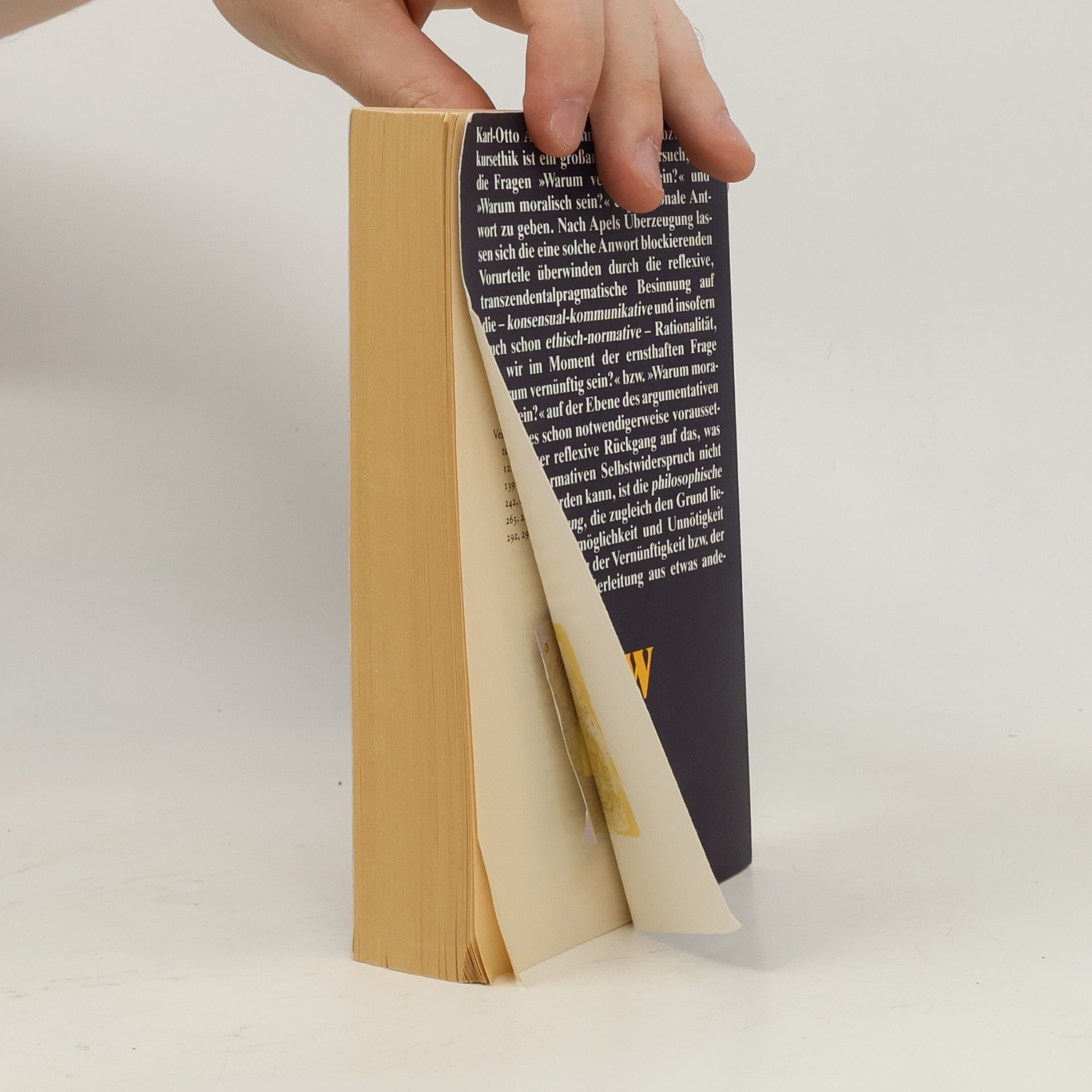 Karl-Otto Apel Suhrkamp Taschenbuch Wissenschaft - 893: Diskurs und Verantwortung