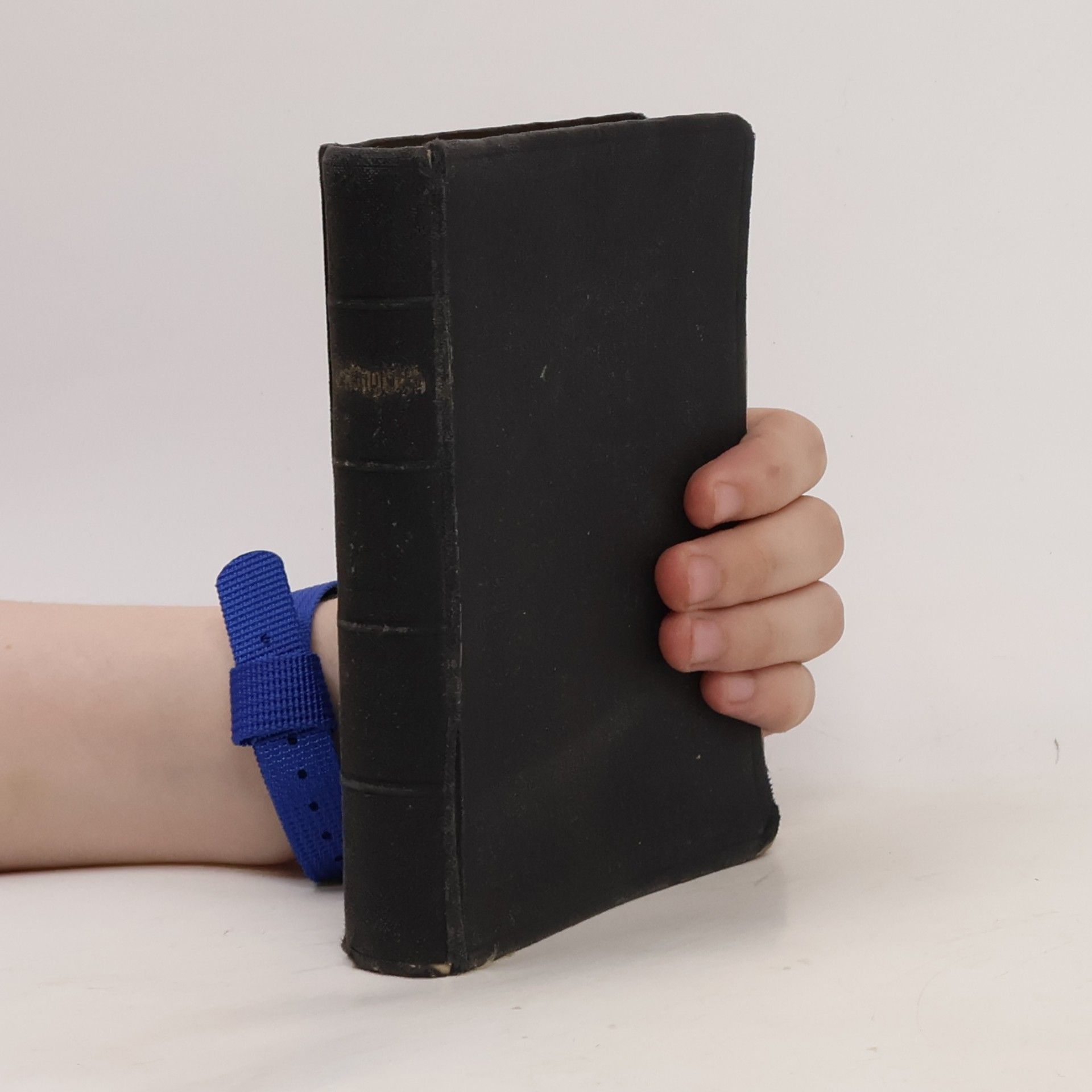 Autorenkollektiv Evangelisches Kirchengesangbuch