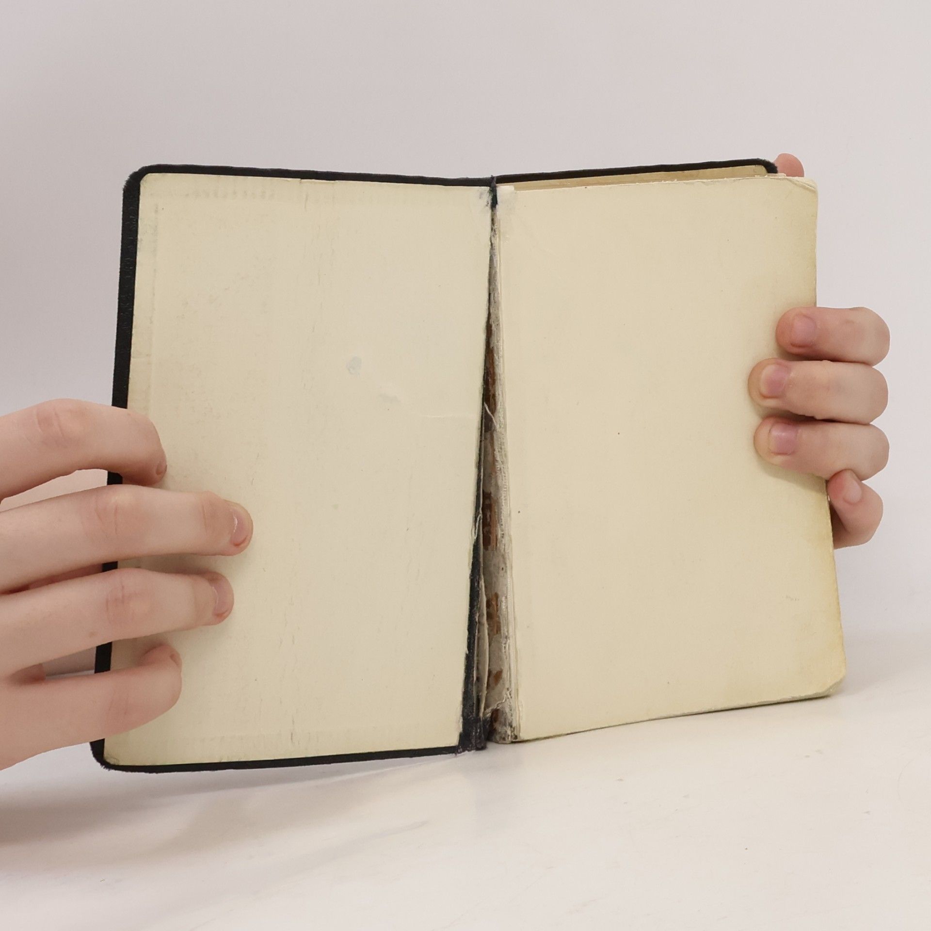 Autorenkollektiv Evangelisches Kirchengesangbuch