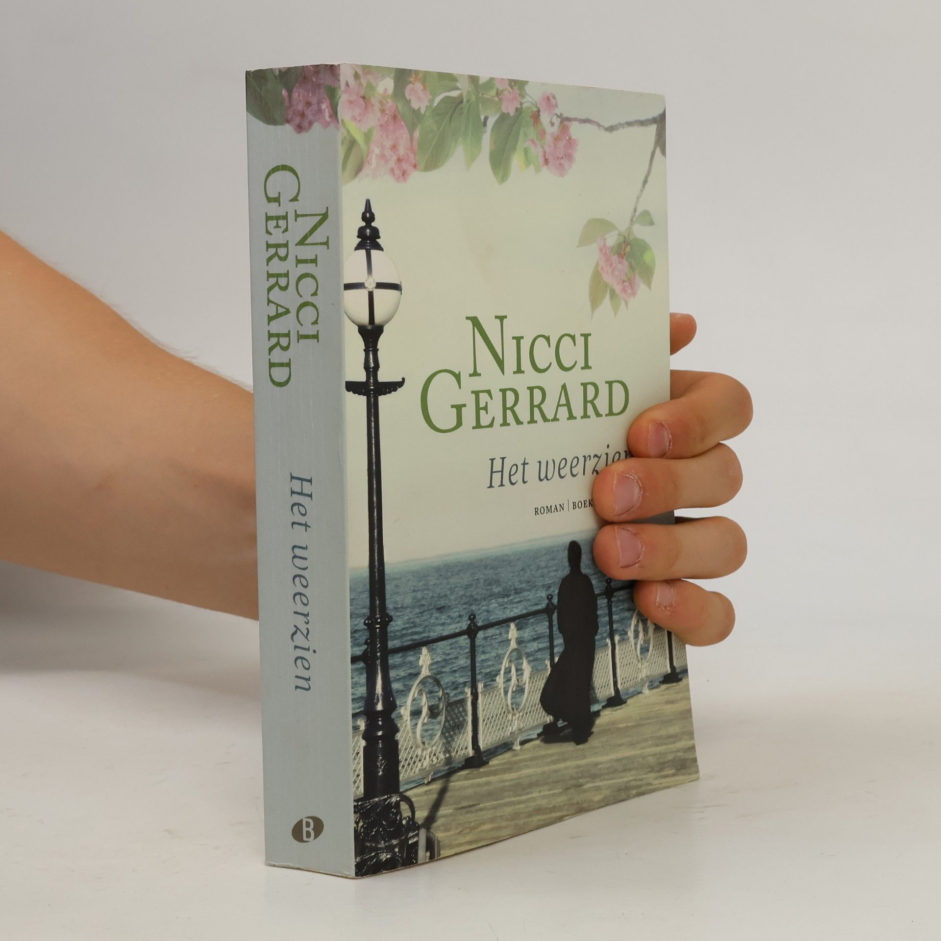 Nicci Gerrard Het weerzien