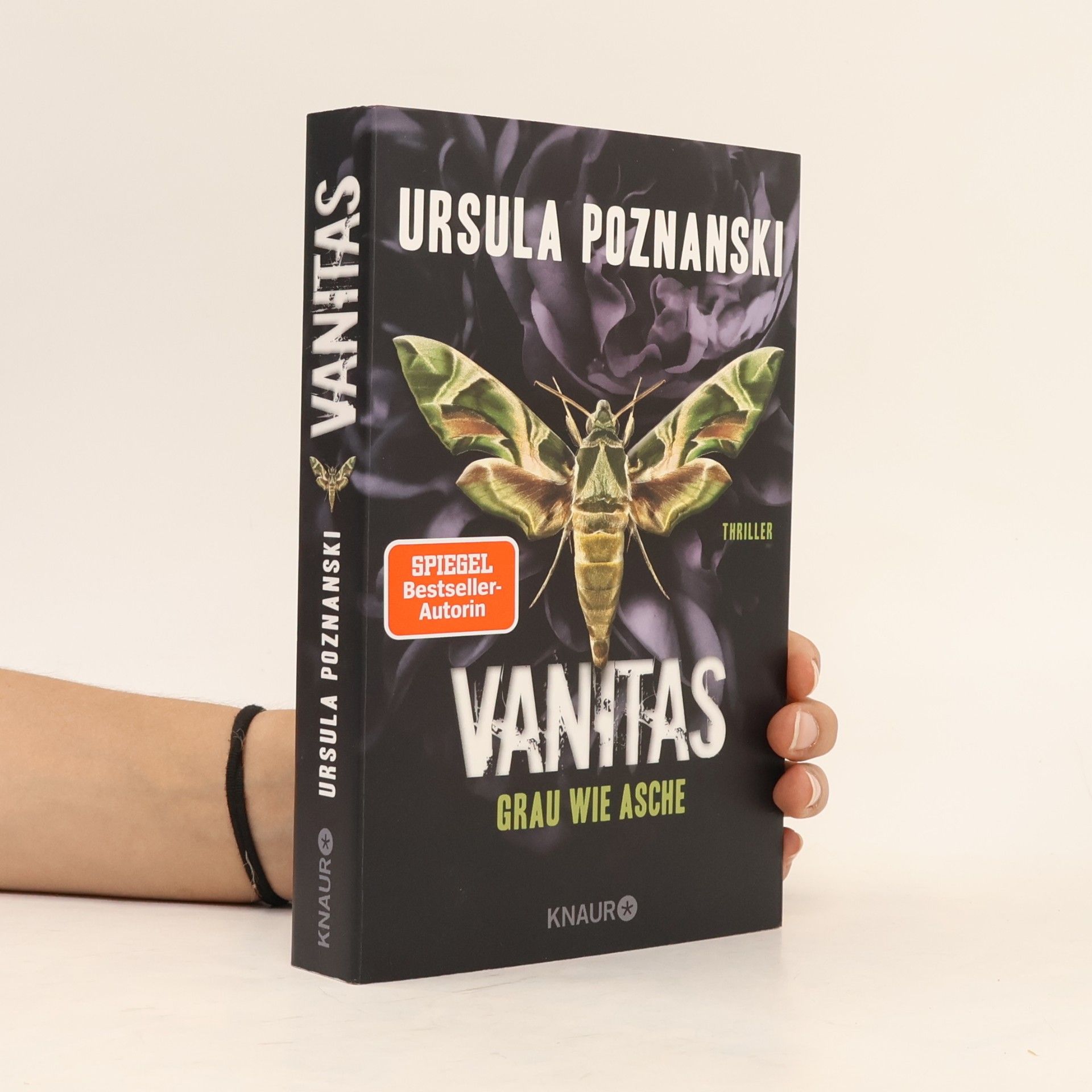 Ursula Poznanski Vanitas. Grau wie Asche