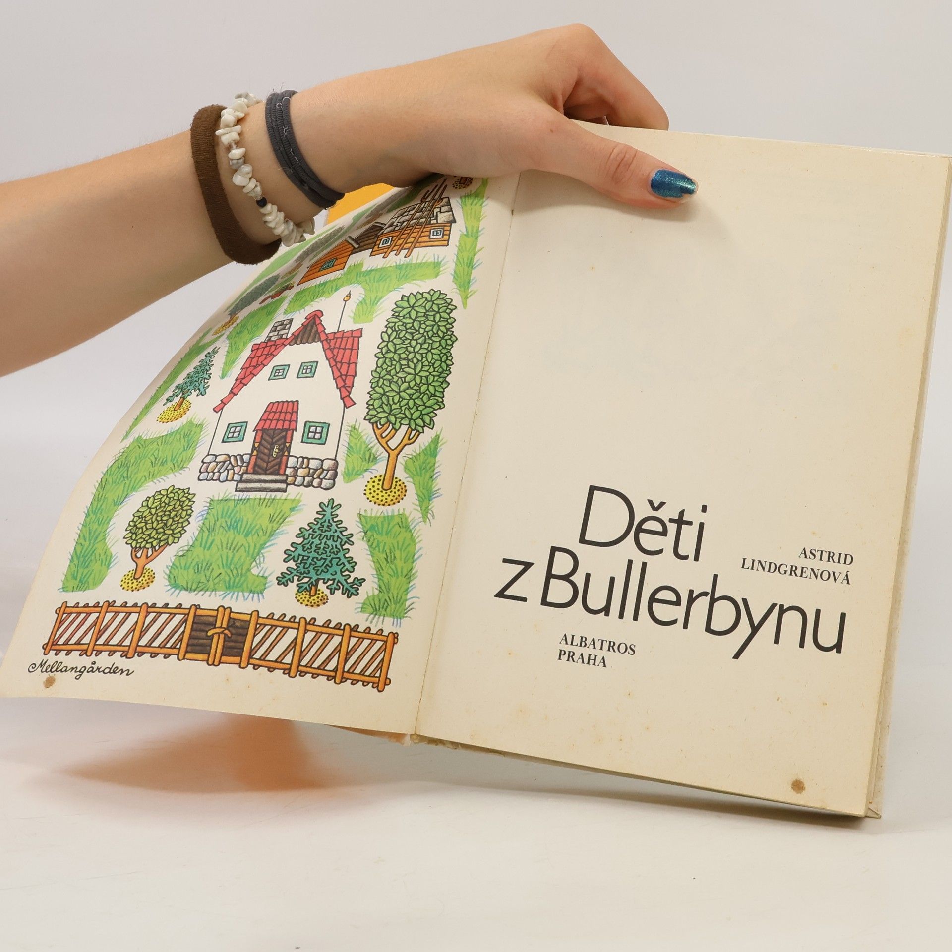 Astrid Lindgren Děti z Bullerbynu