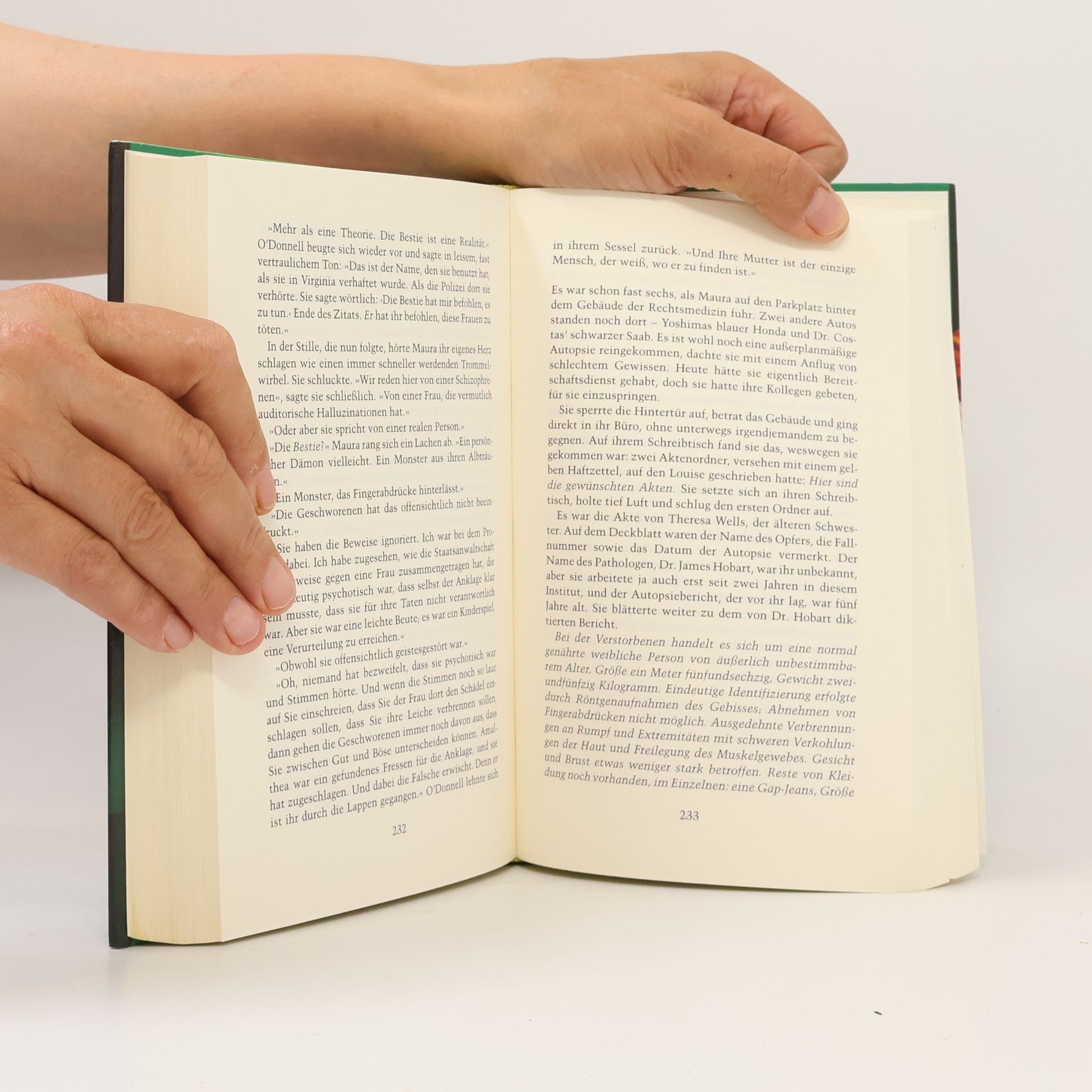 Tess Gerritsen Schwesternmord