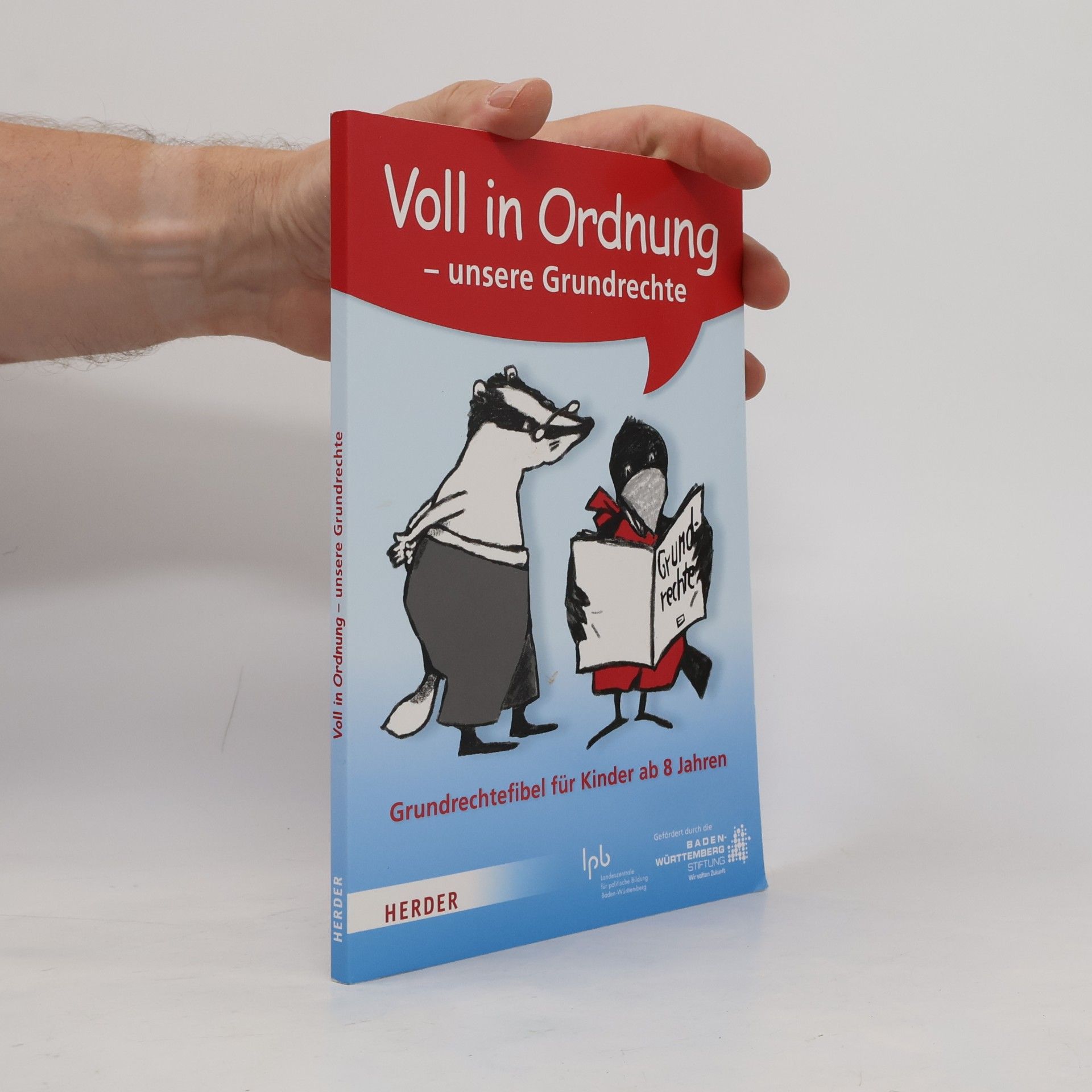 Christine Merz Voll in Ordnung - unsere Grundrechte