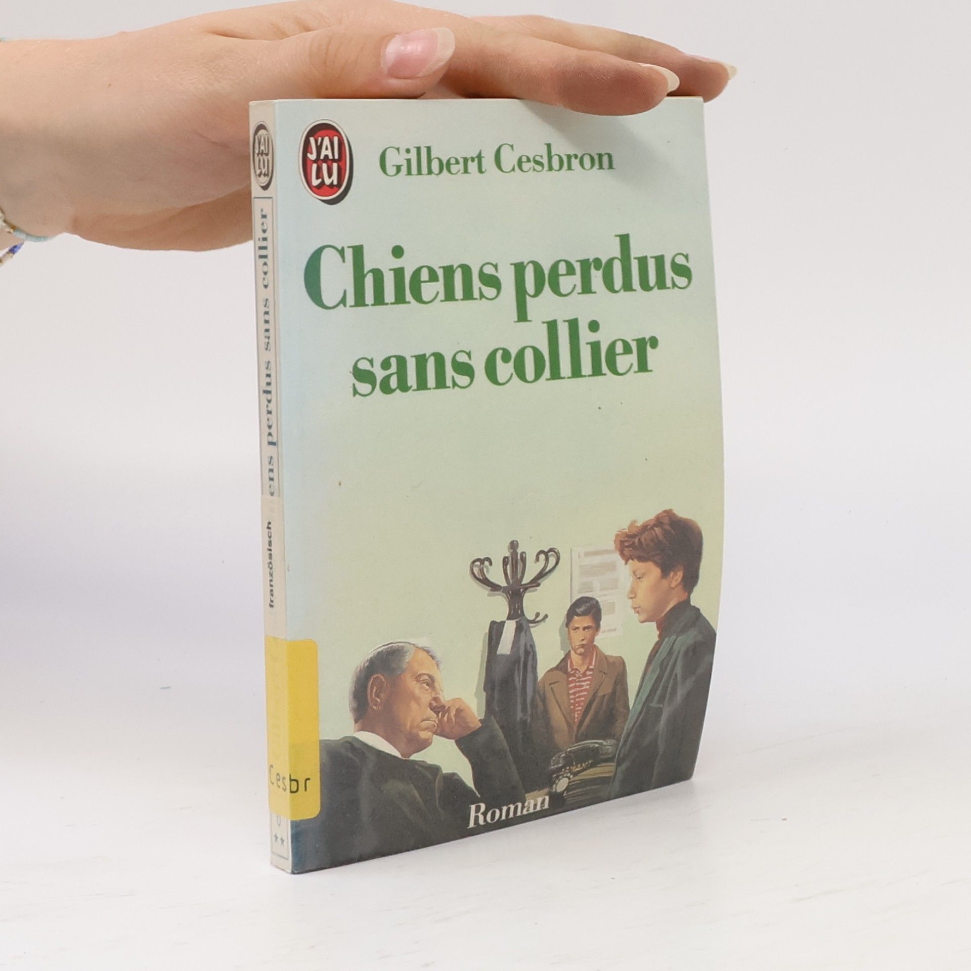 Gilbert Cesborn Chiens perdus sans collier