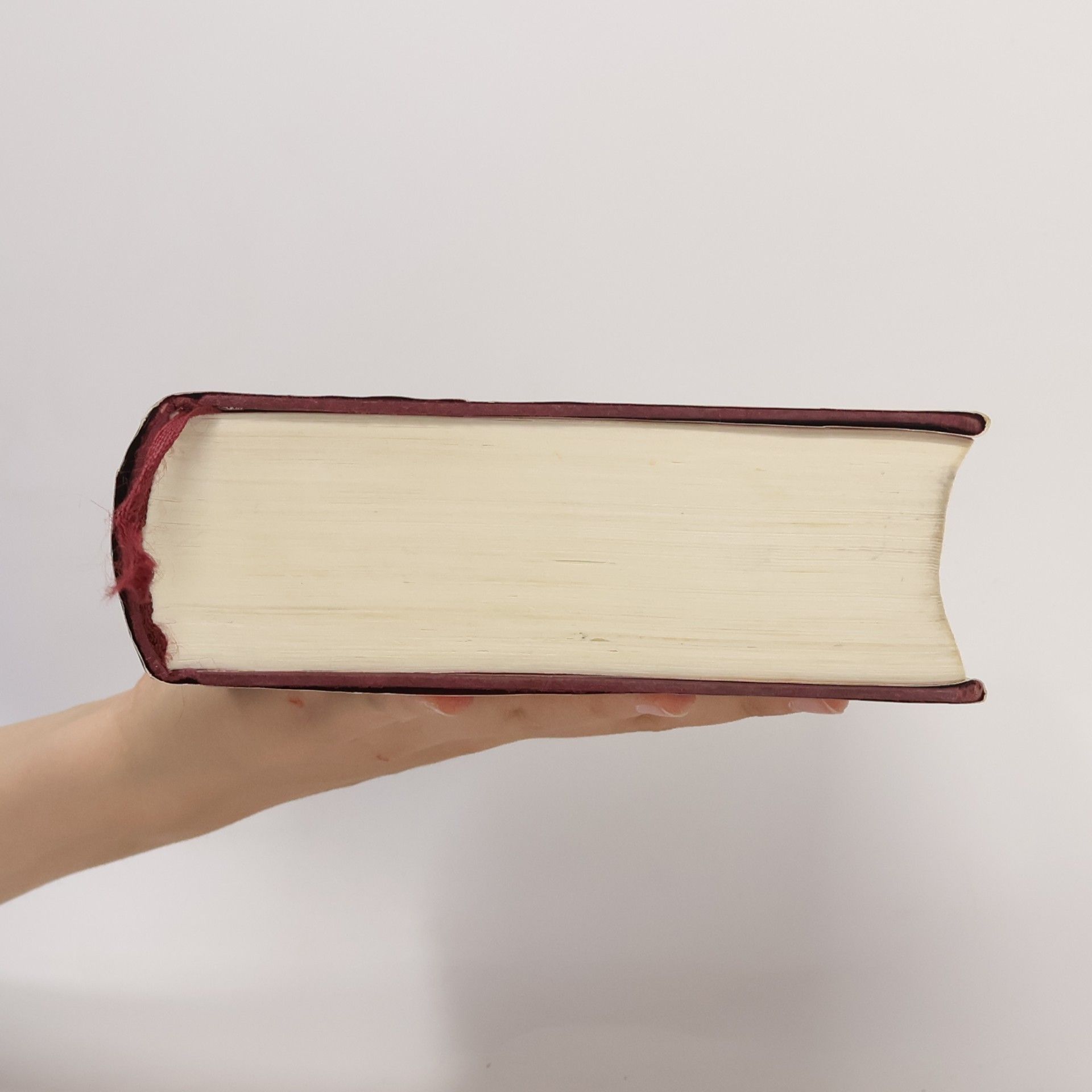 Stephenie Meyer Biss zum Abendrot