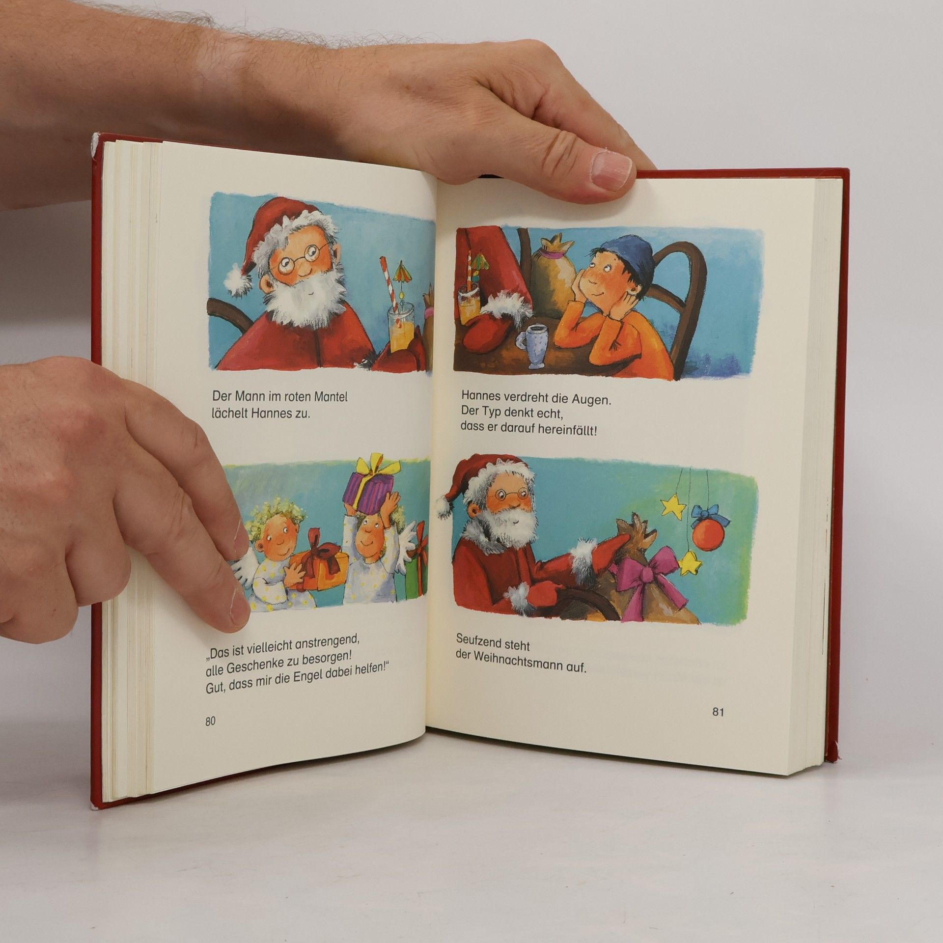 Autorenkollektiv 24 Lesetiger-Geschichten zum Advent