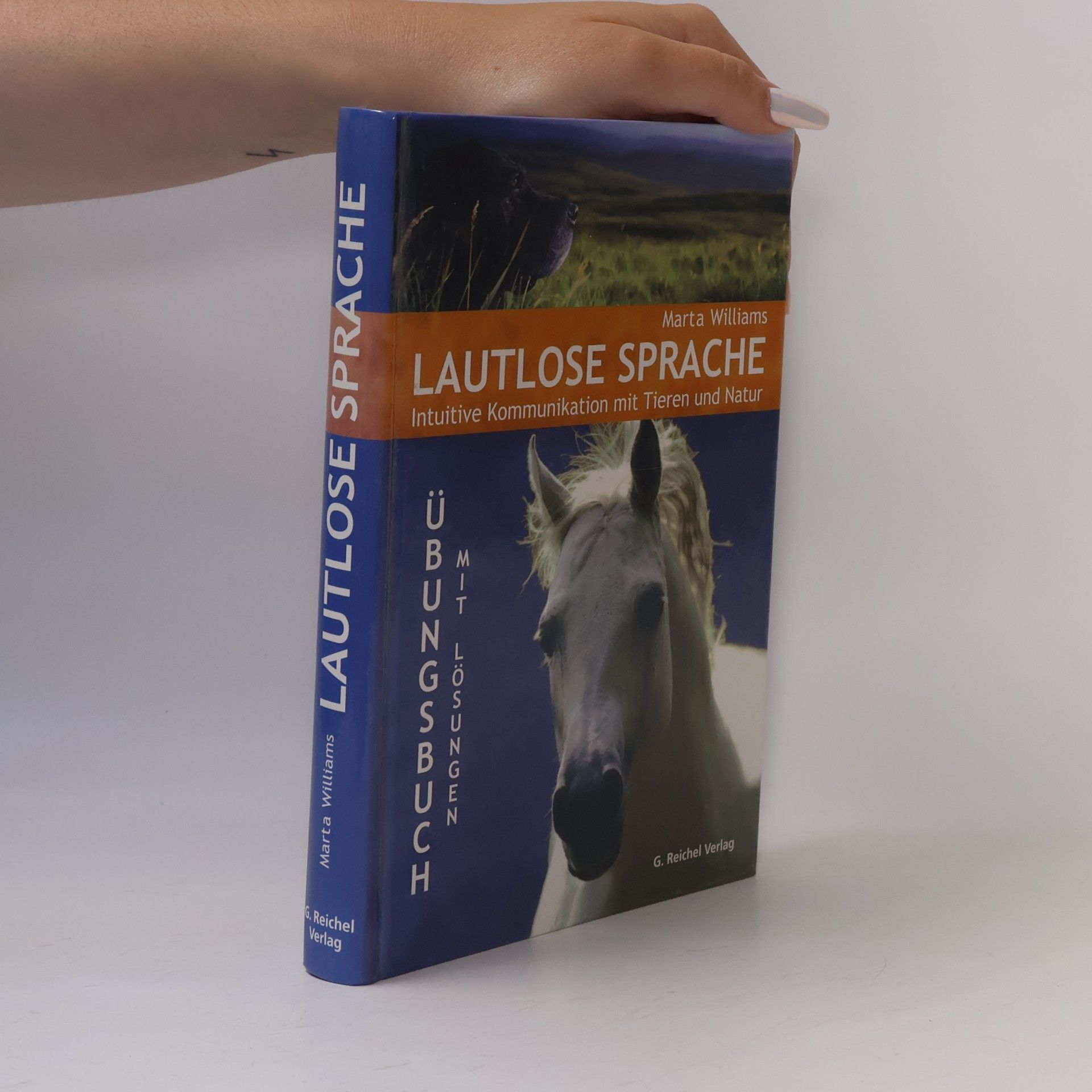 Lautlose Sprache