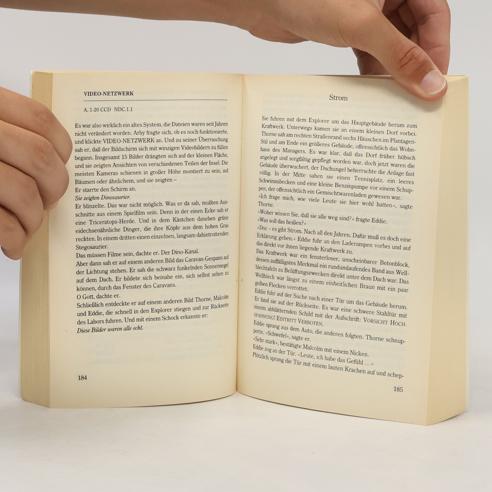 Michael Crichton Vergessene Welt: Jurassic-Park