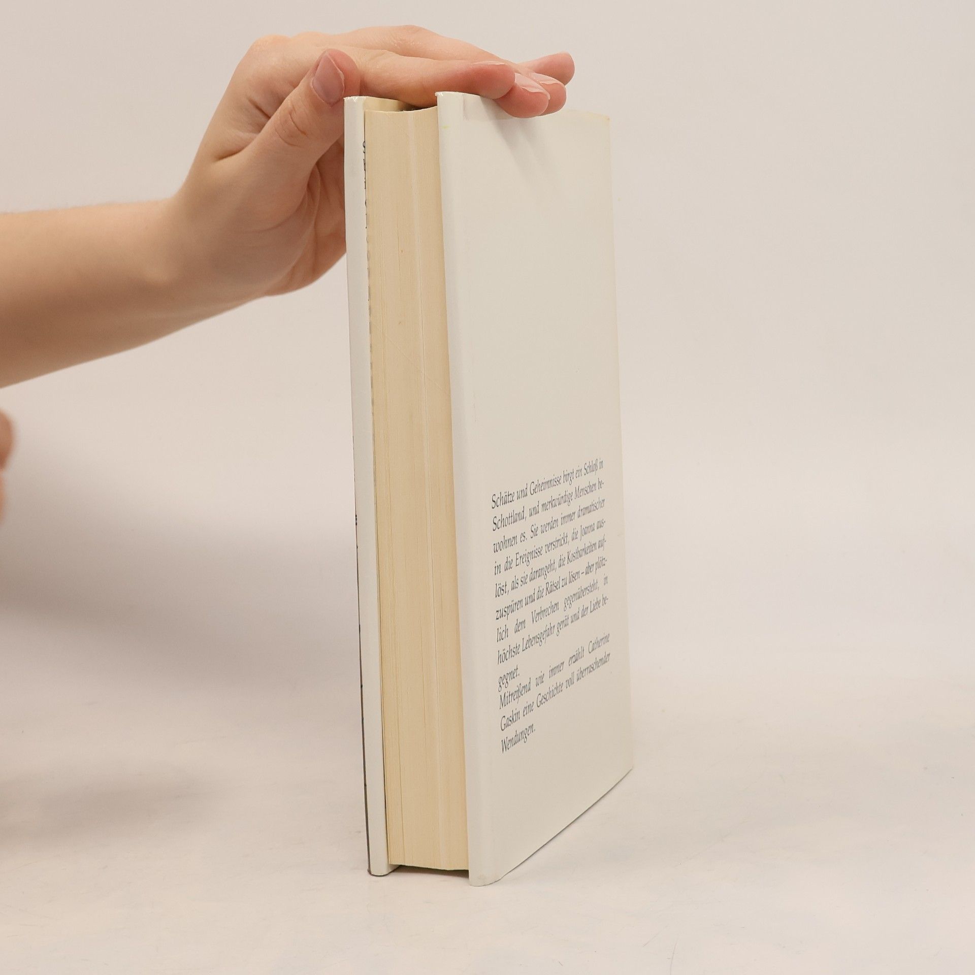 Catherine Gaskin Ein Windspiel im Nebel