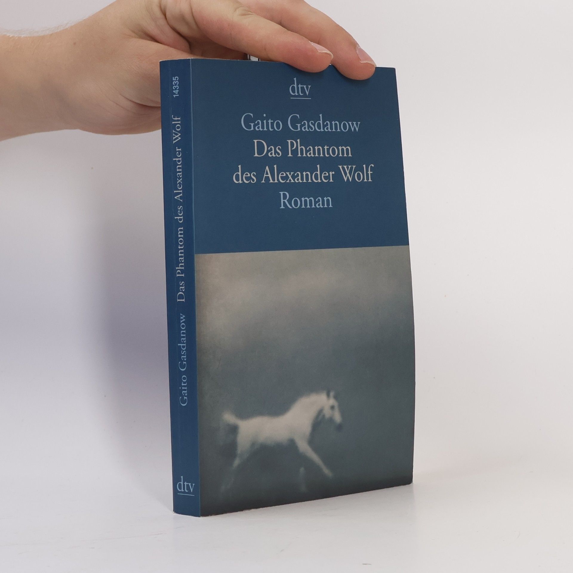 Gaito Gazdanov Das Phantom des Alexander Wolf