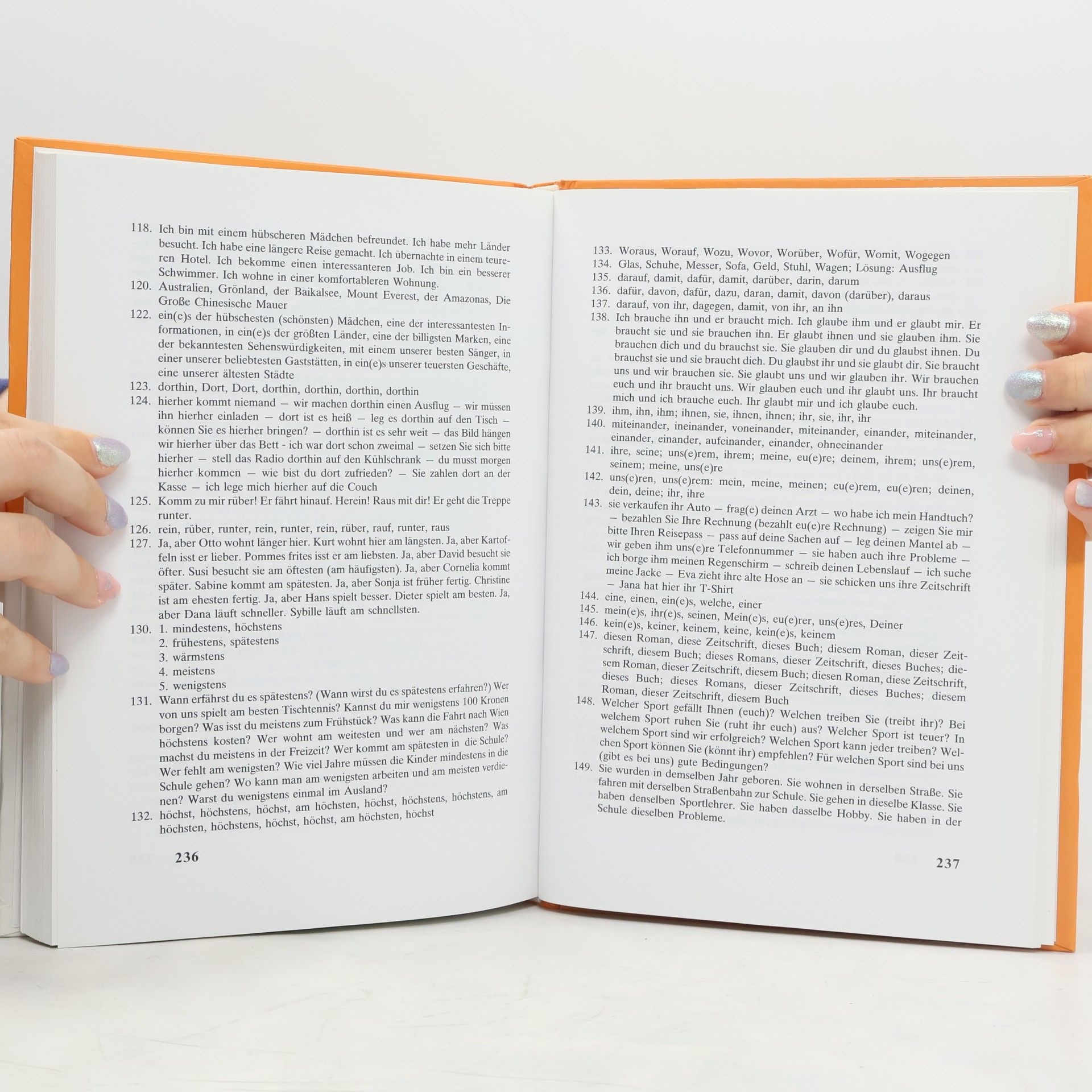 Věra Höppnerová Begleiter : Übungsgrammatik zum Lehrbuch Deutsch für Gymnasien