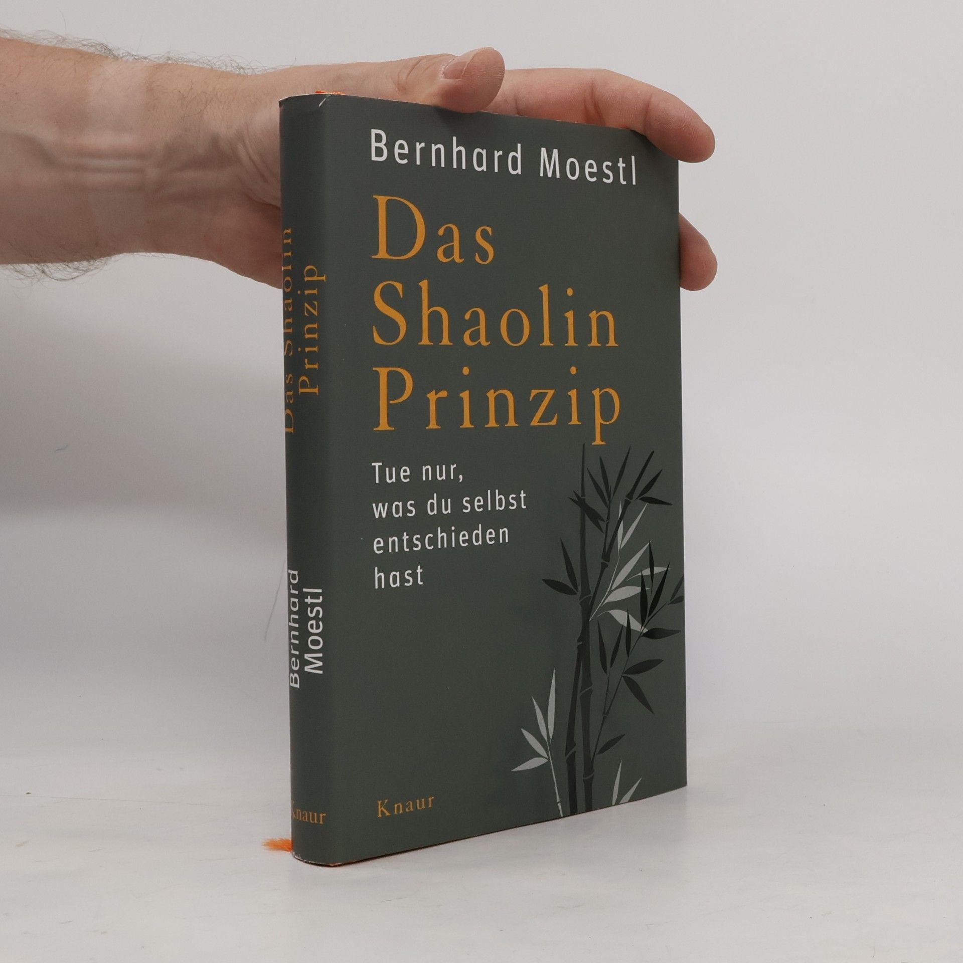 Bernhard Moestl Das Shaolin-Prinzip