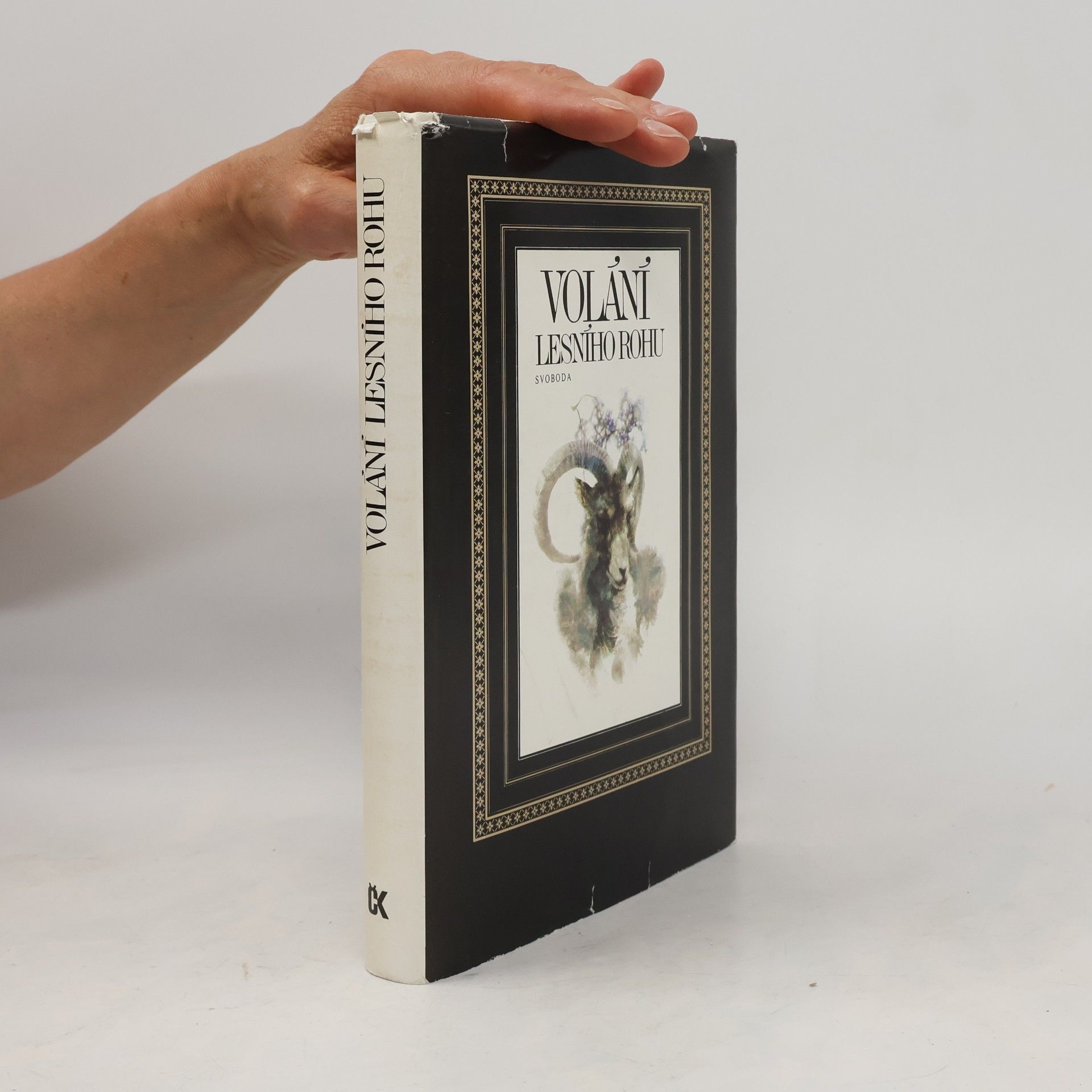 Collectif d'auteurs Volání lesního rohu