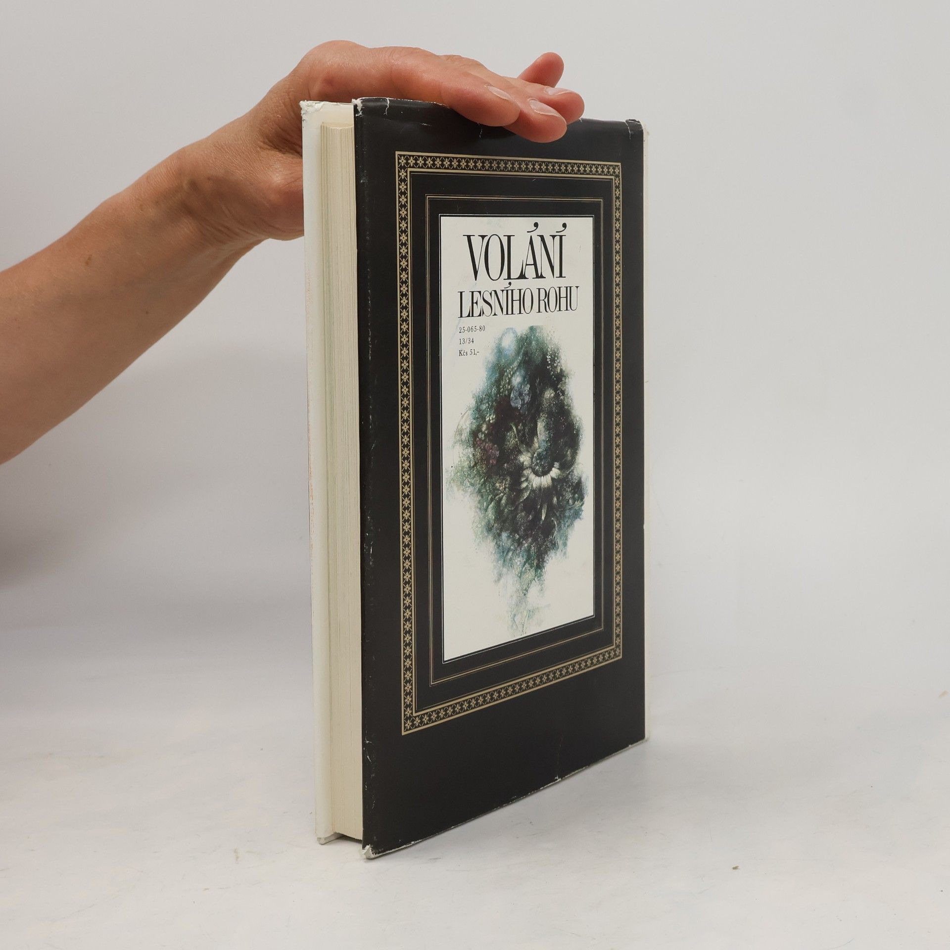 Collectif d'auteurs Volání lesního rohu