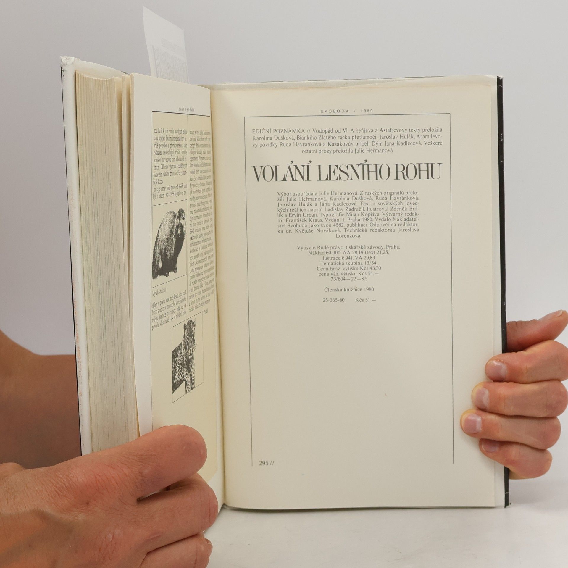 Collectif d'auteurs Volání lesního rohu