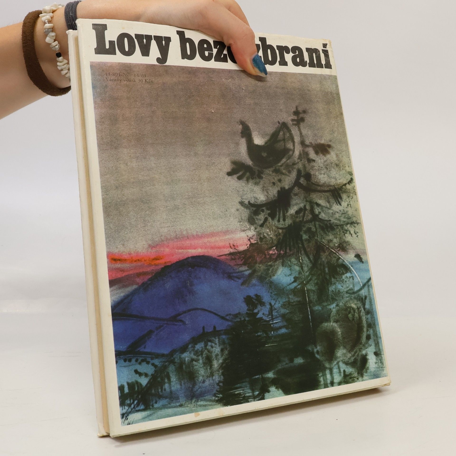 Jaromír Tomeček Lovy beze zbraní
