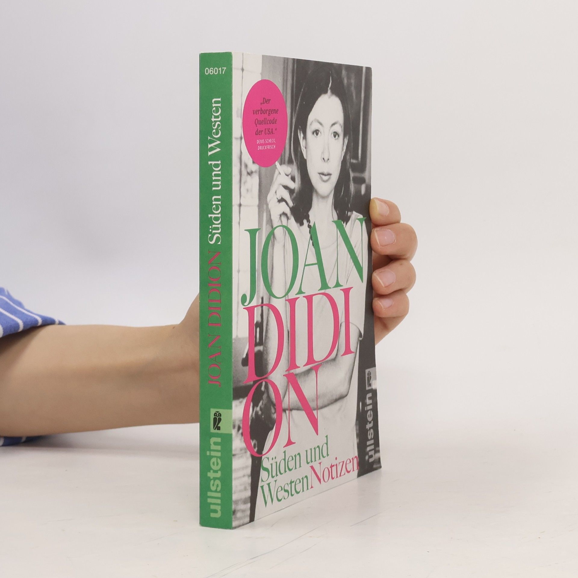 Joan Didion Süden und Westen