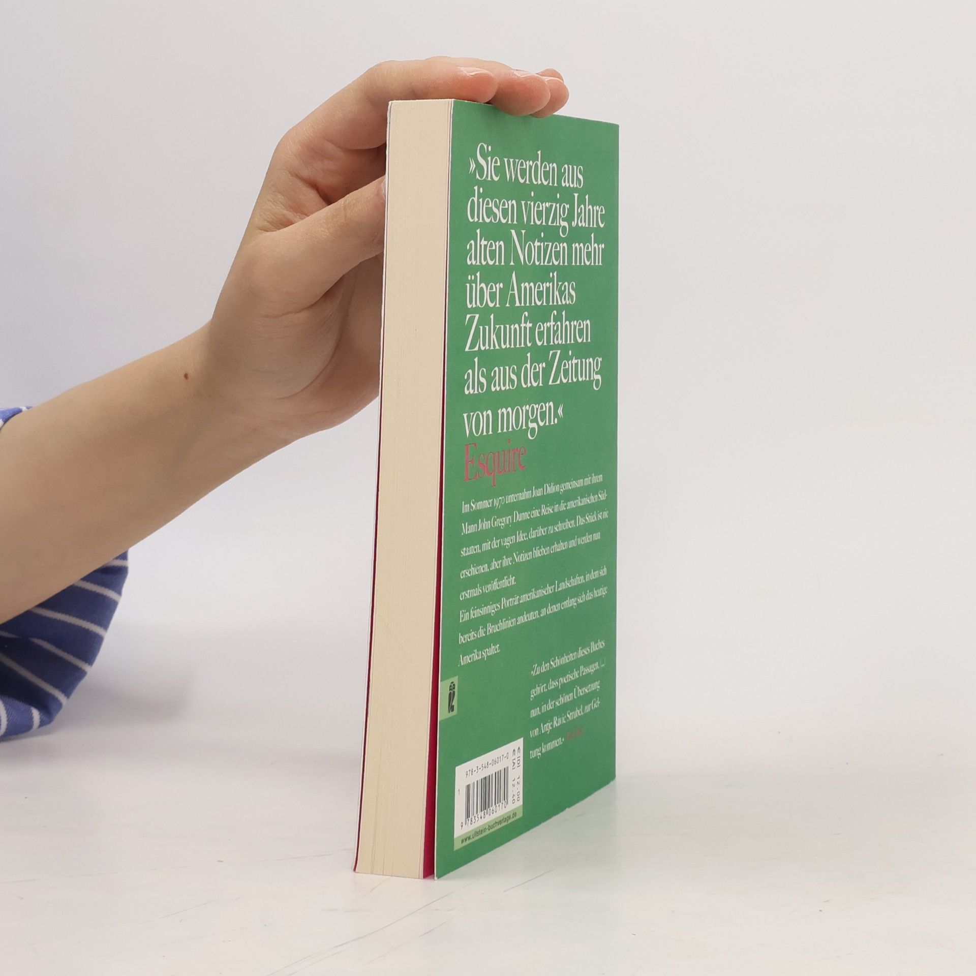 Joan Didion Süden und Westen