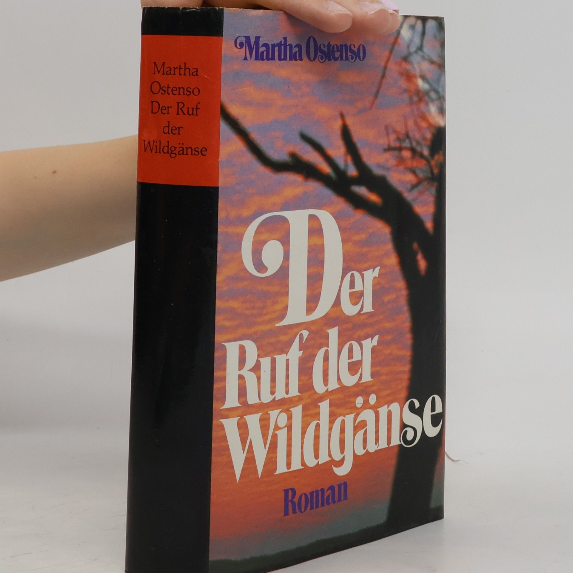 Martha Ostenso Der Ruf der Wildgänse
