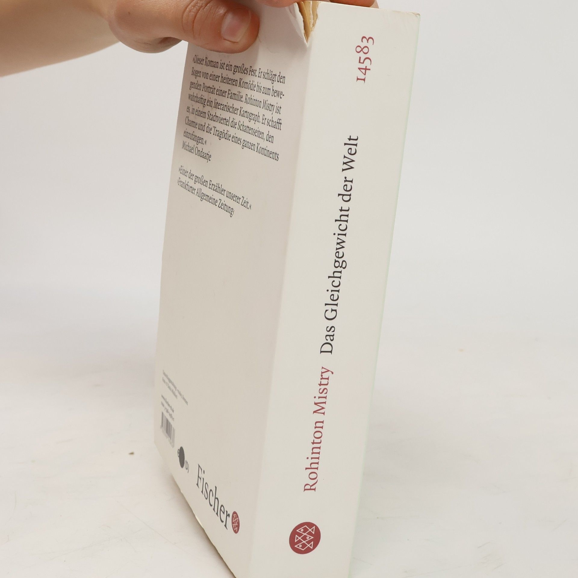 Rohinton Mistry Das Gleichgewicht der Welt