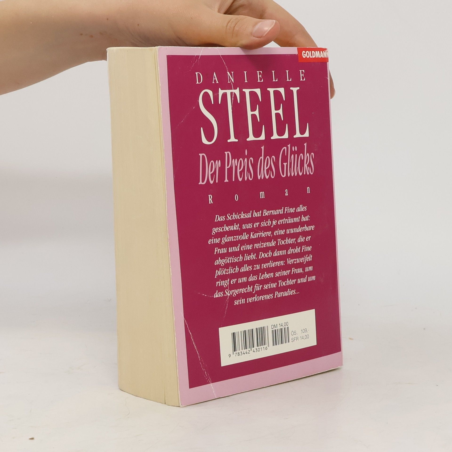 Danielle Steel Der Preis des Glücks